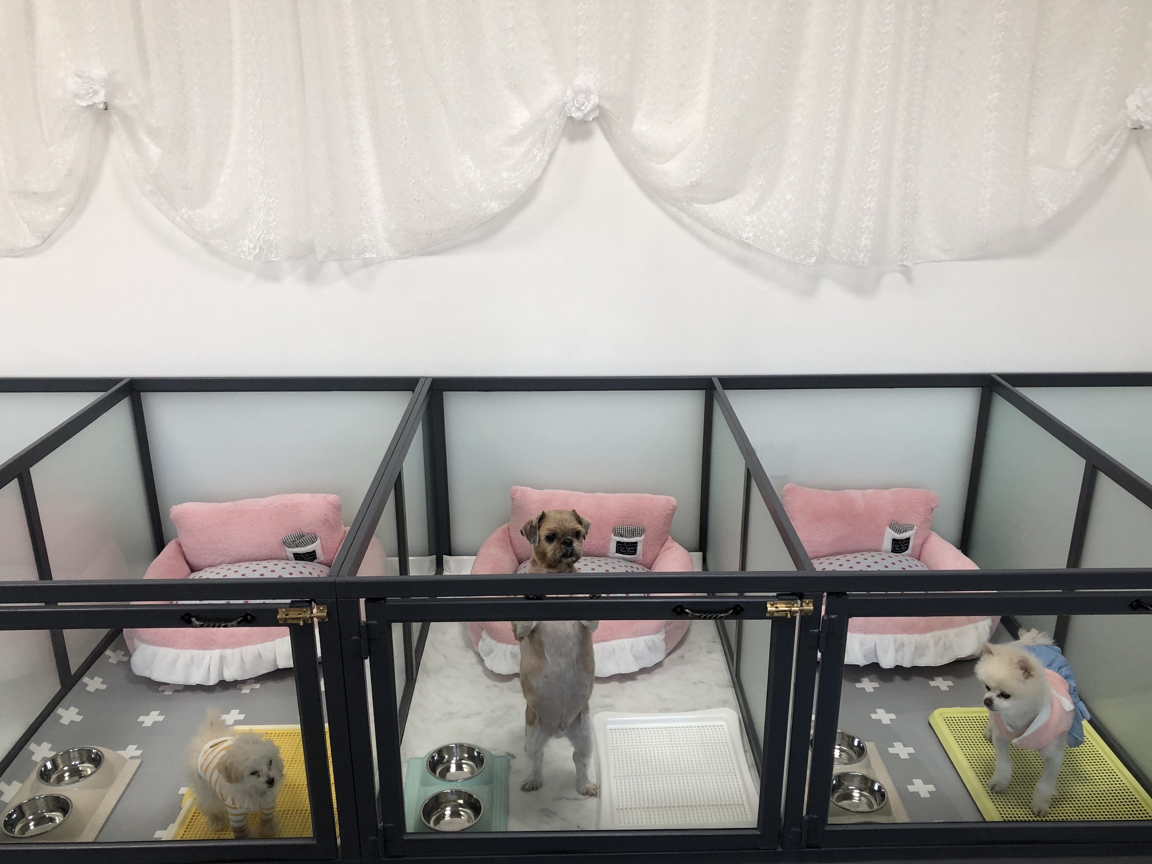 개단장 대표 이미지