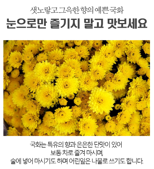 석로다원