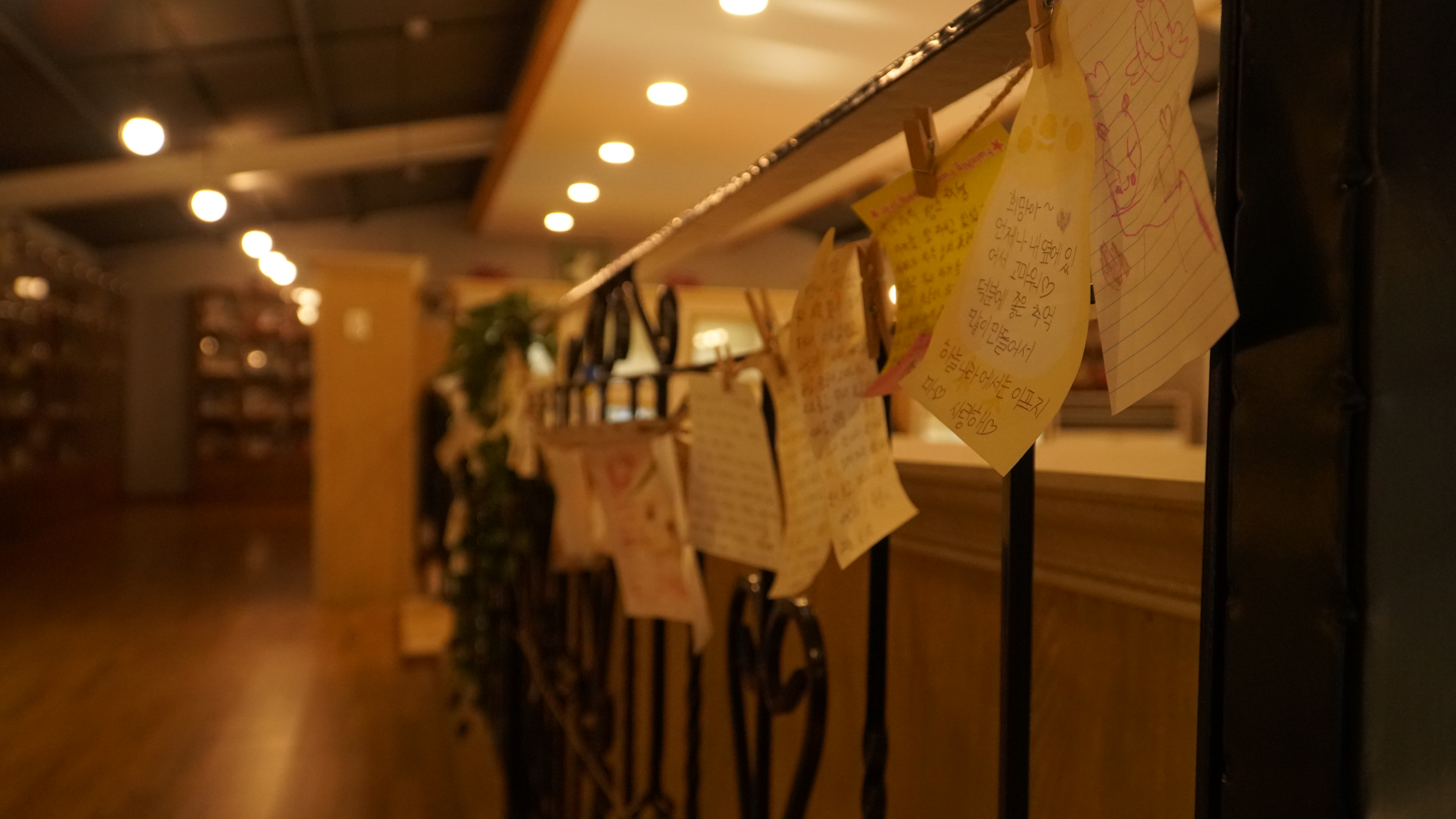 펫바라기 일산점 대표 이미지