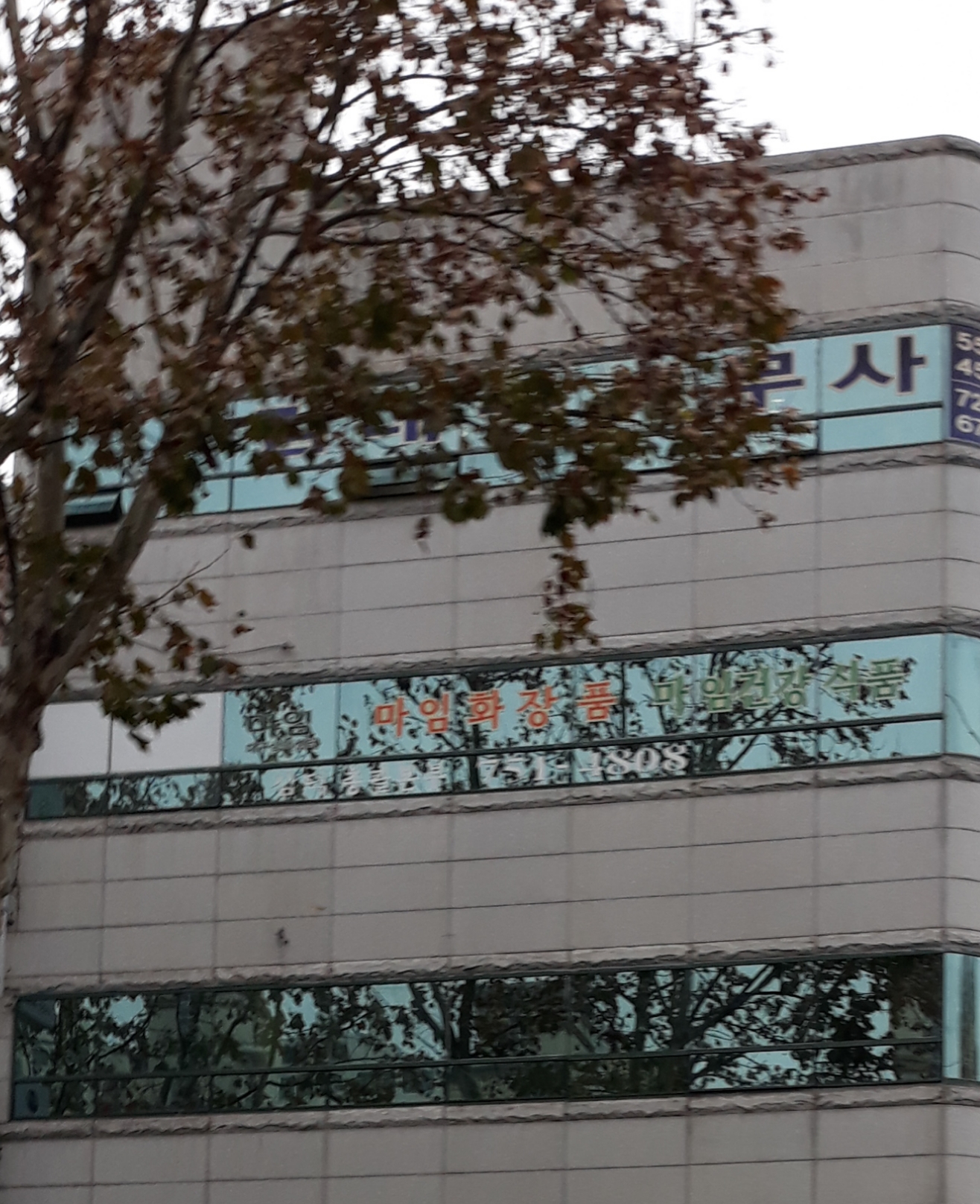 알로에마임삼덕지사