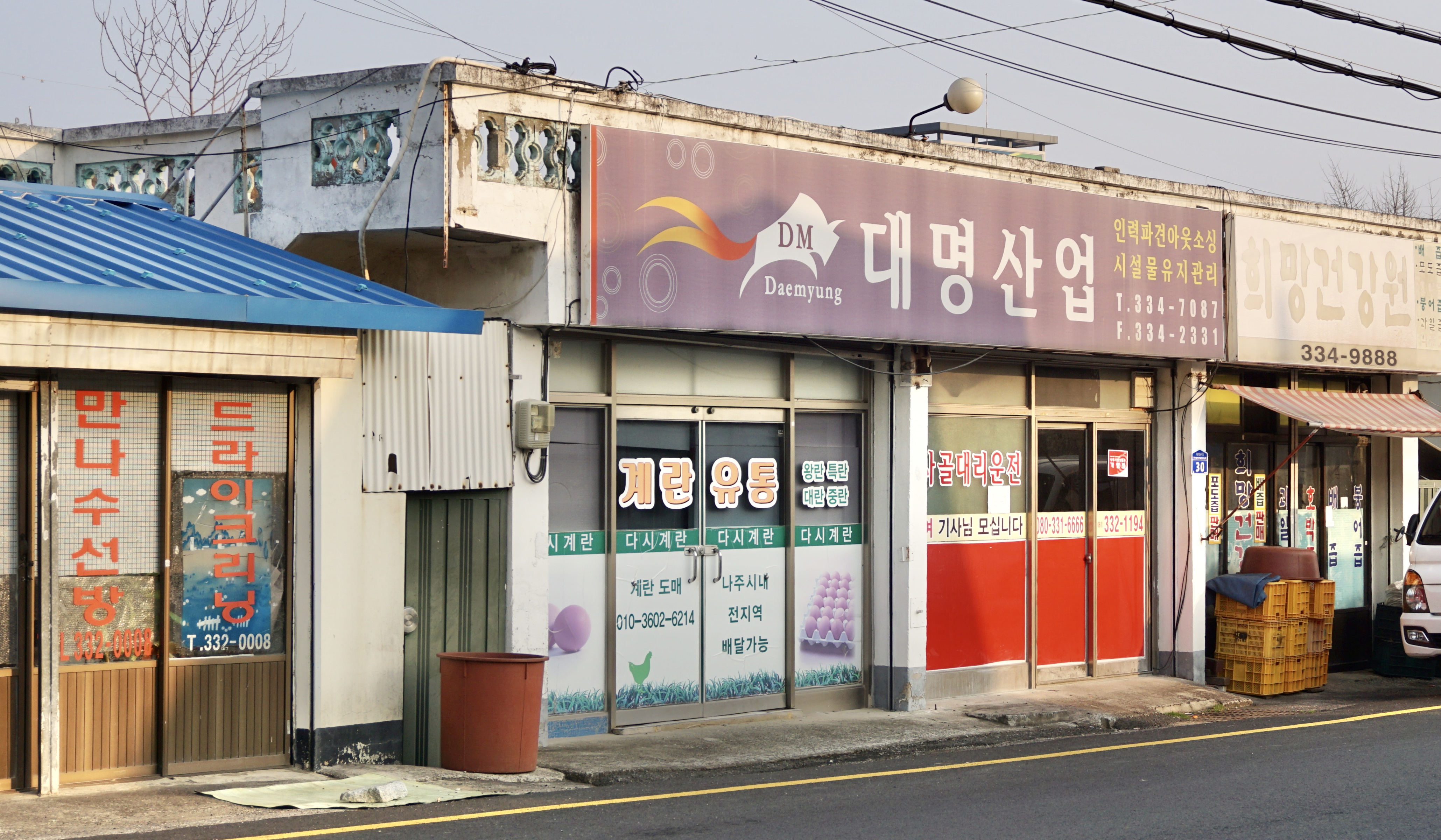 다시계란 유통