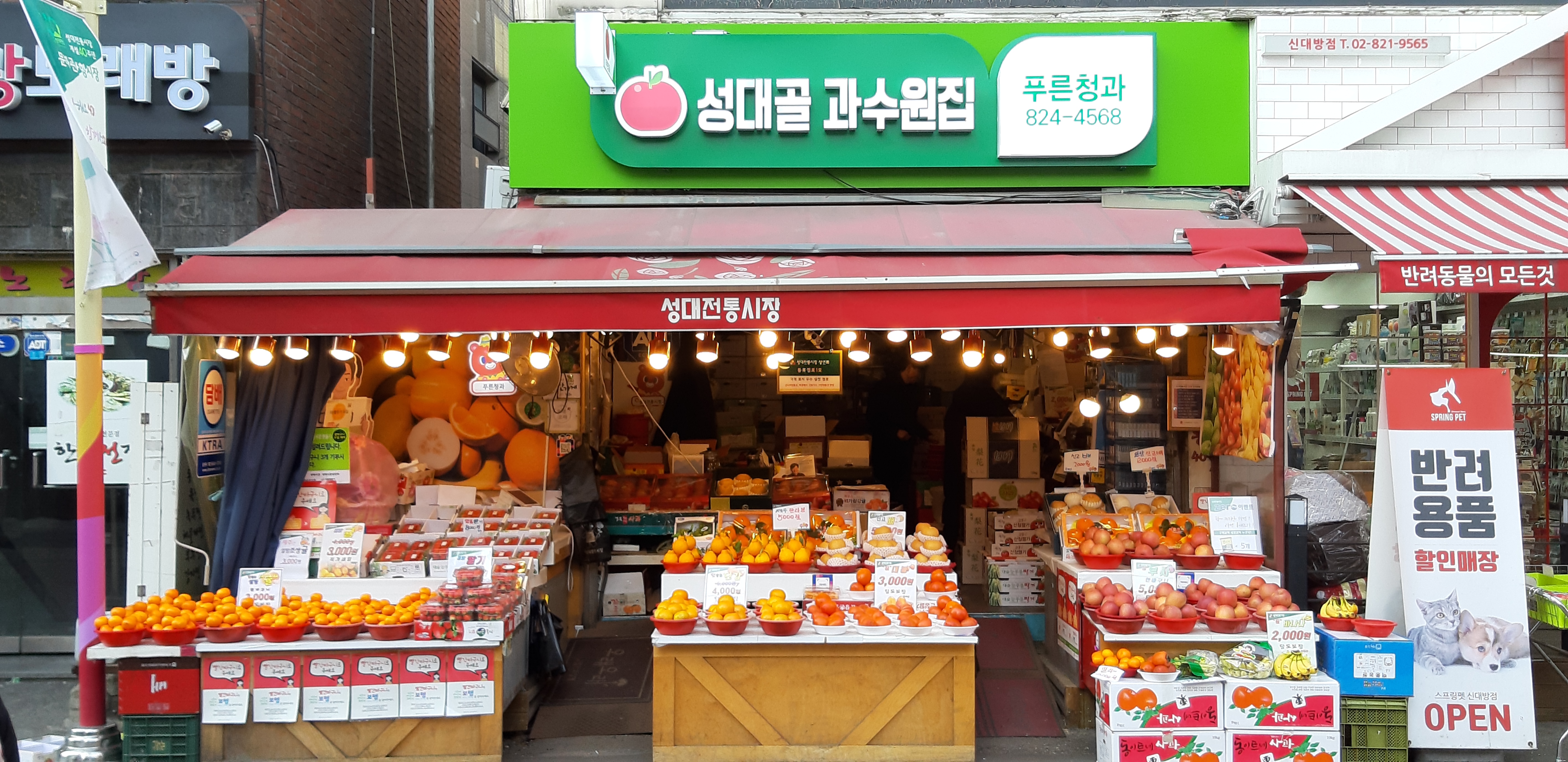 푸른청과