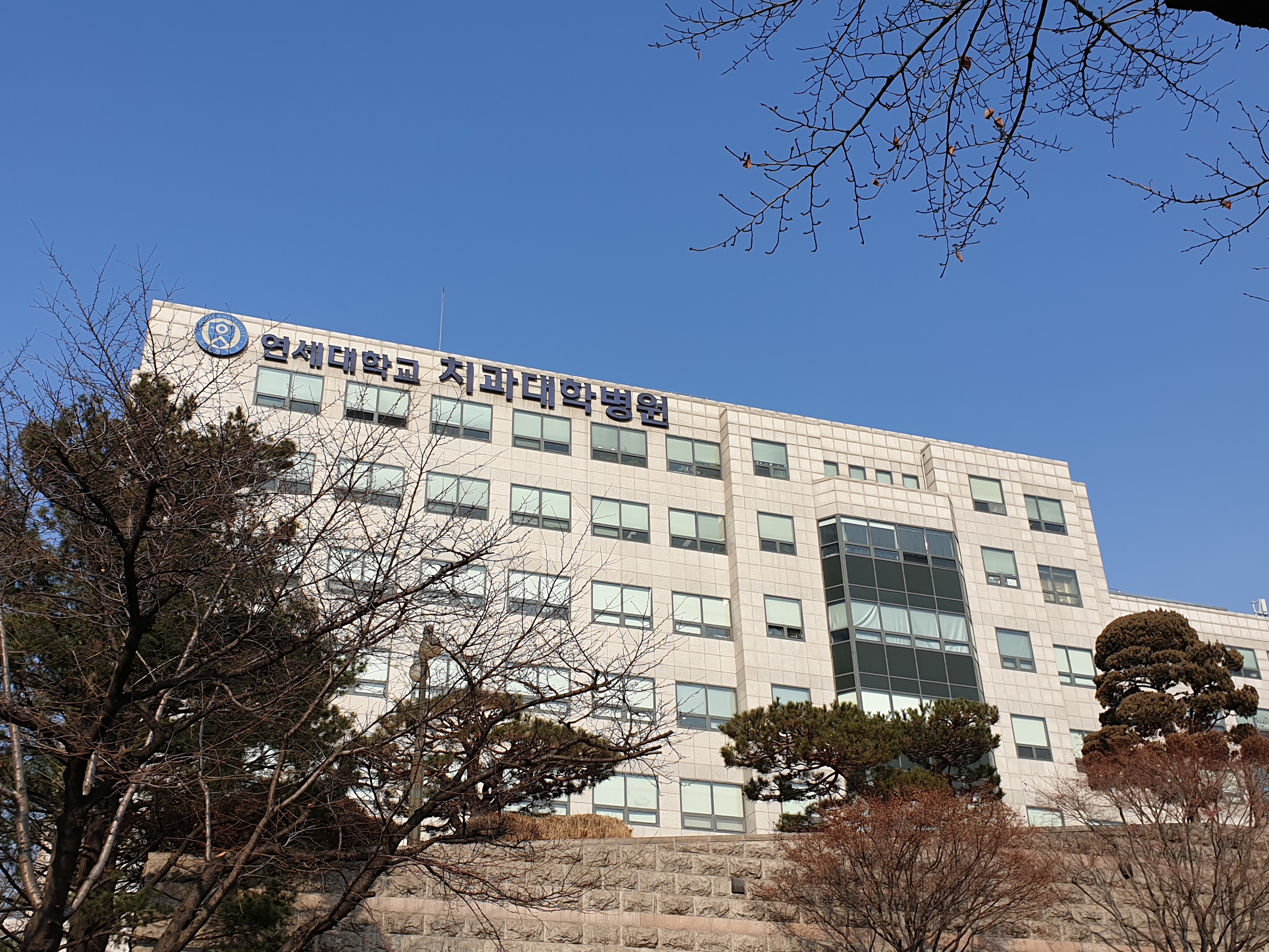 연세대학교 치과대학병원 대표 이미지