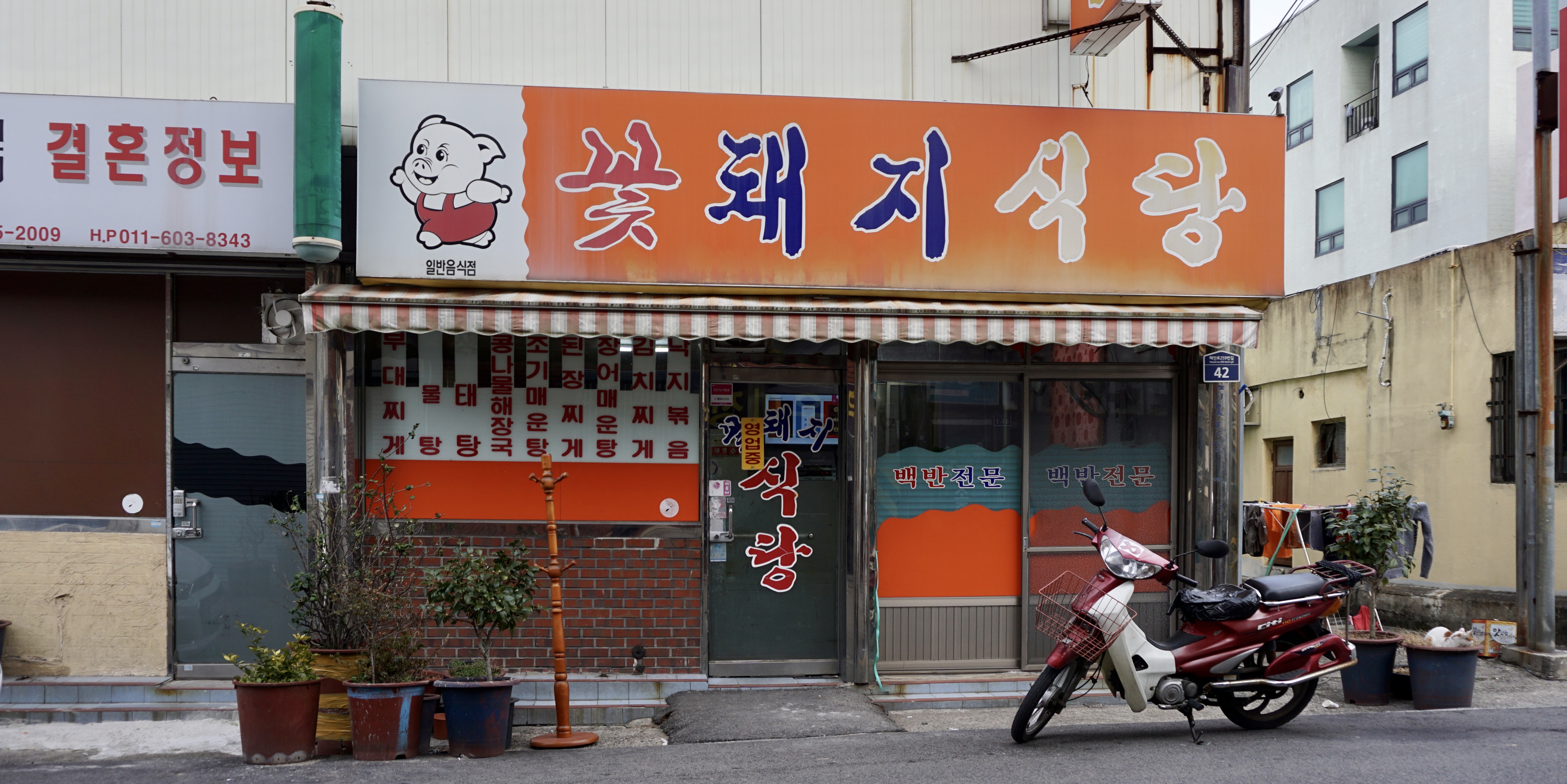 꽃돼지식당