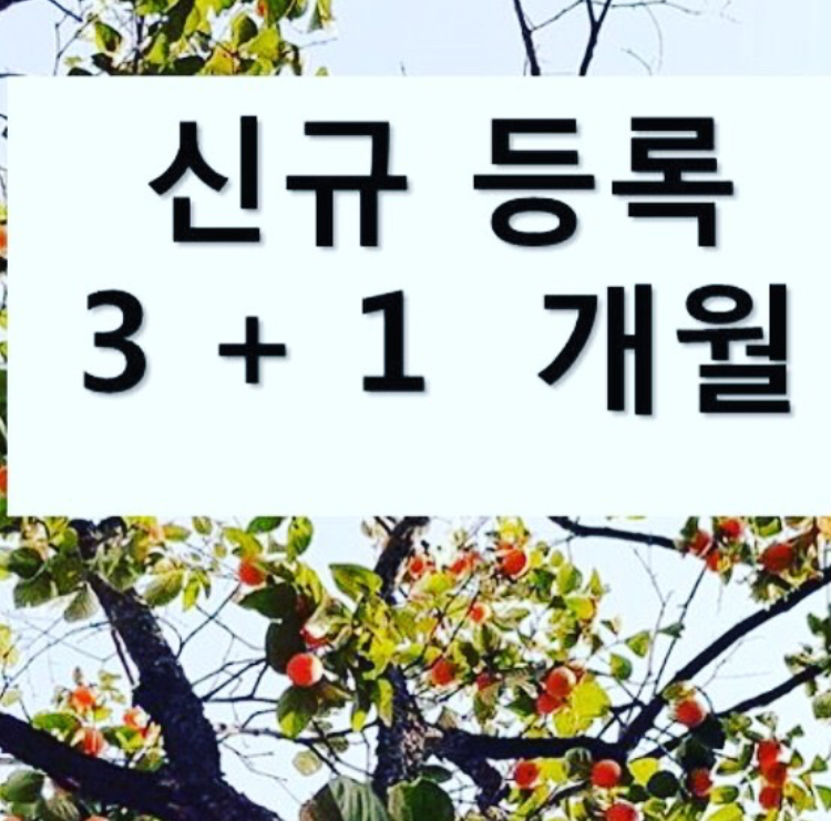 요가쿨라