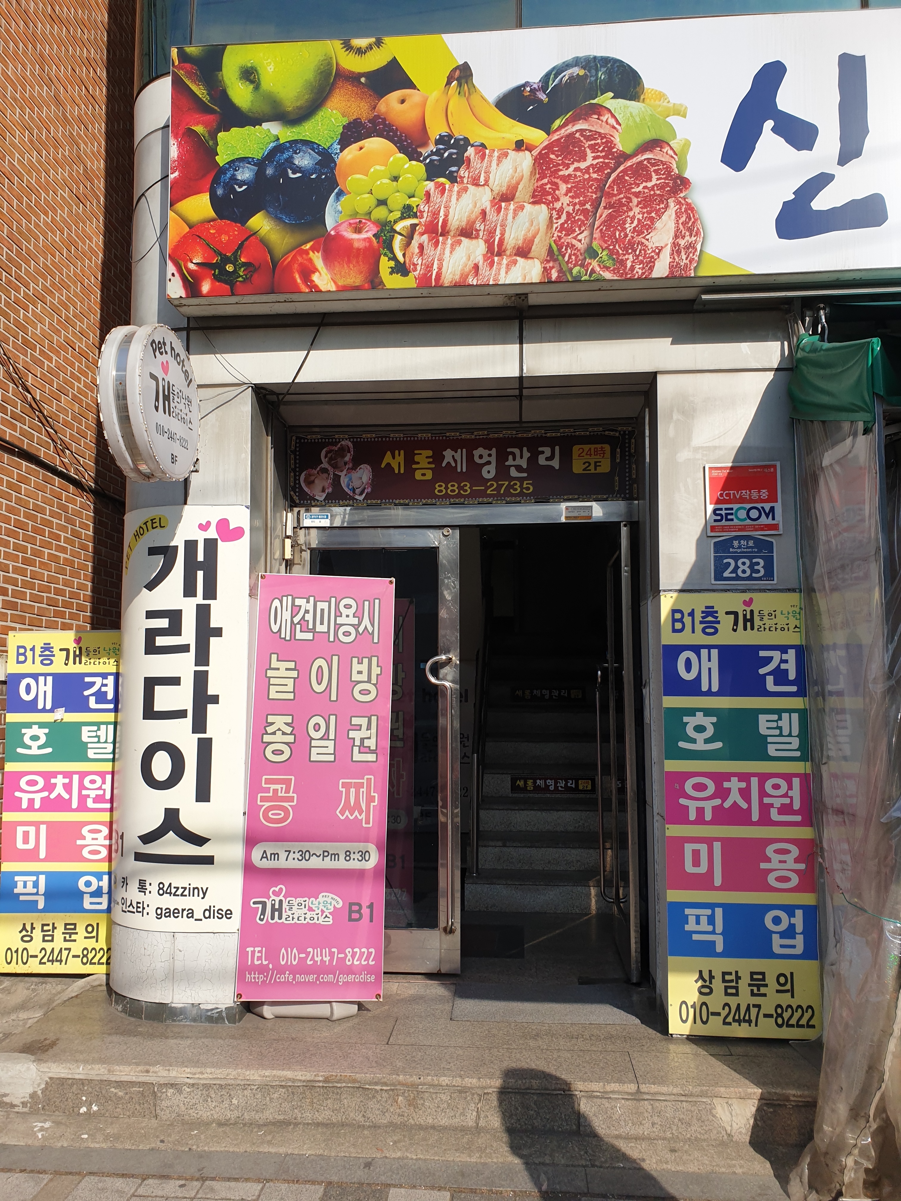 이미지