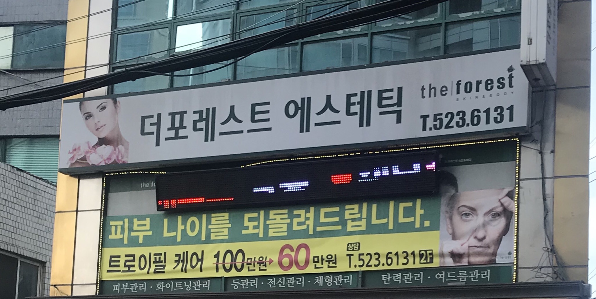 더포레스트