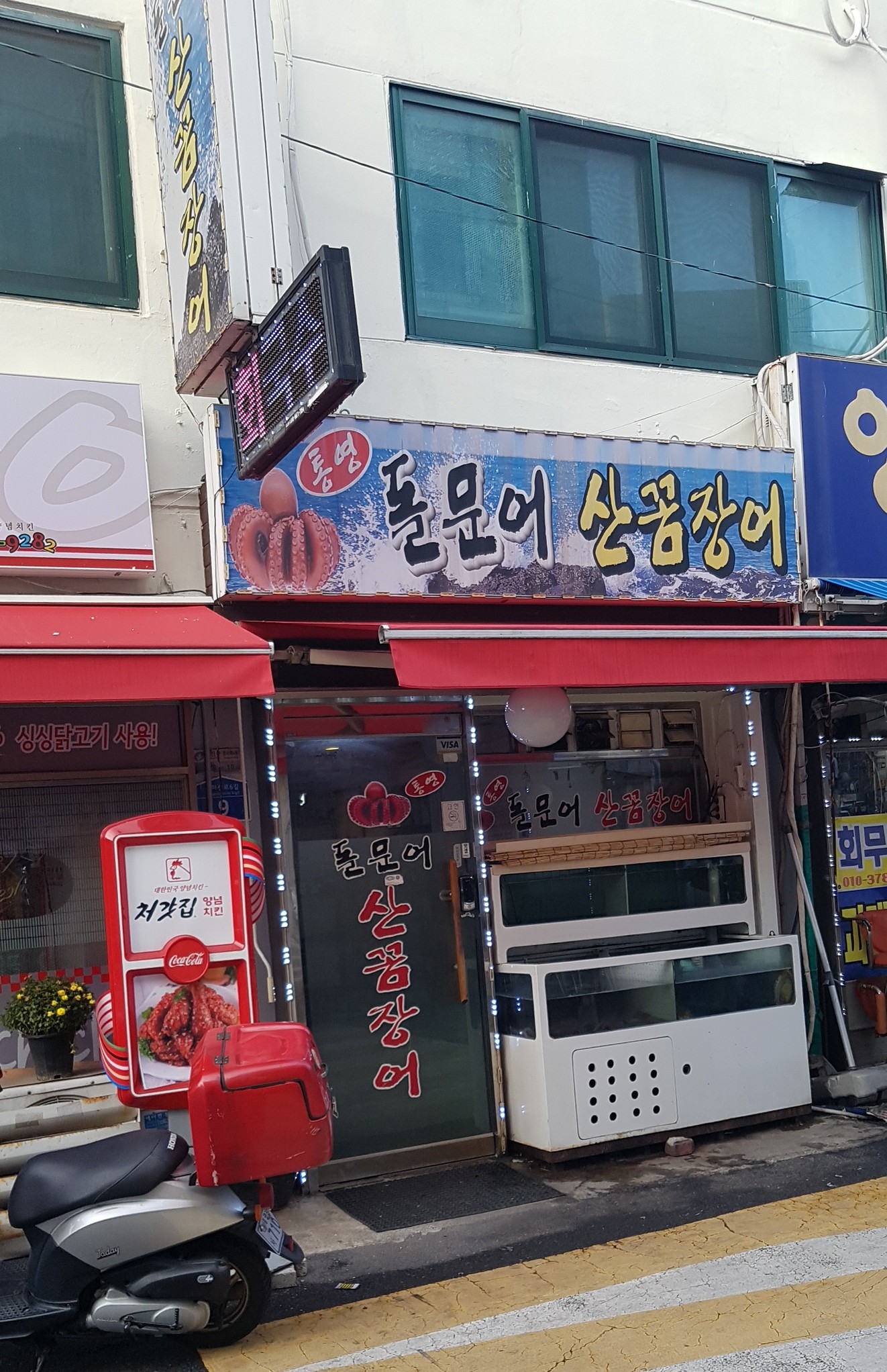 통영돌문어산꼼장어