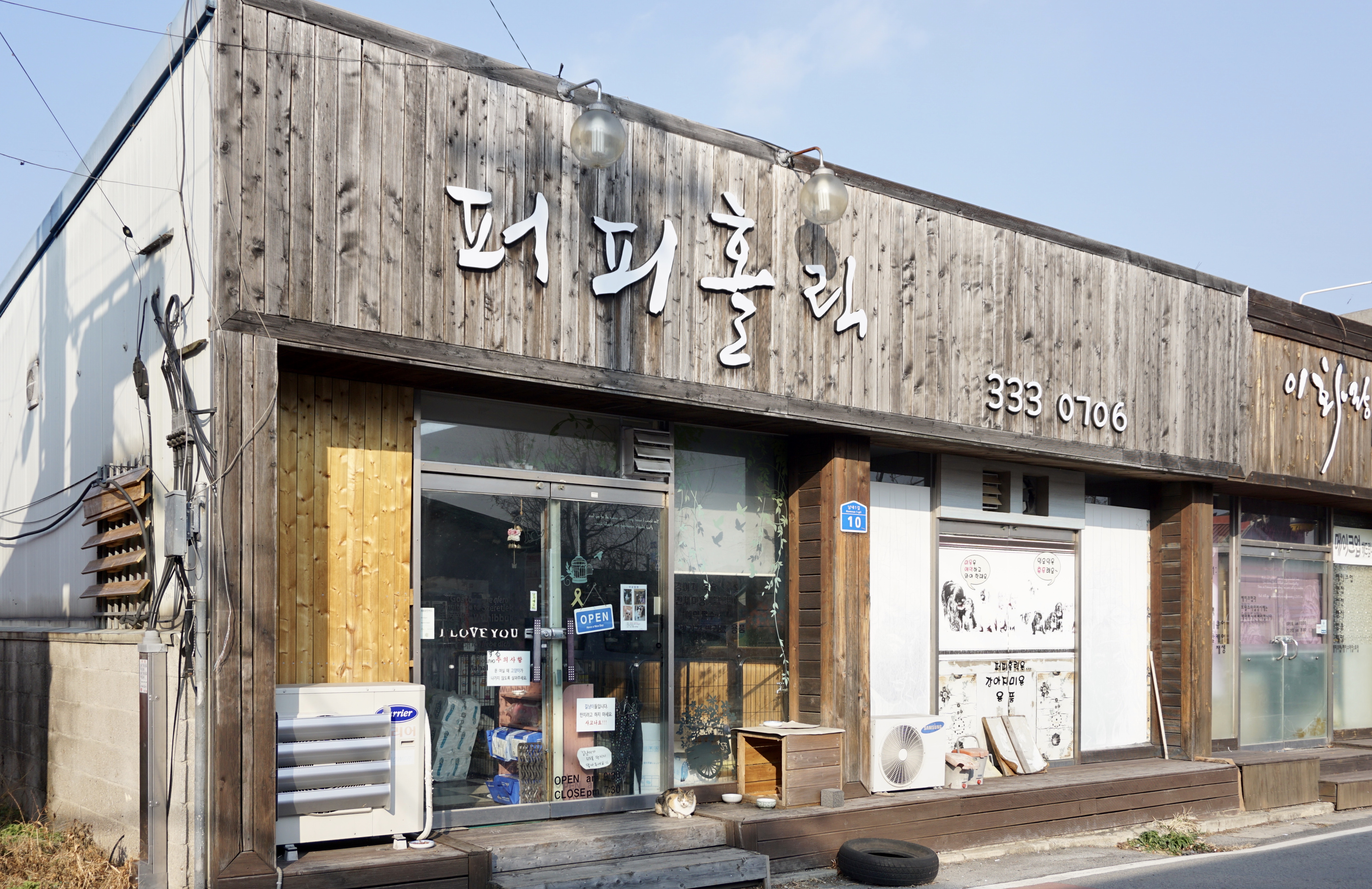 퍼피홀릭 대표 이미지