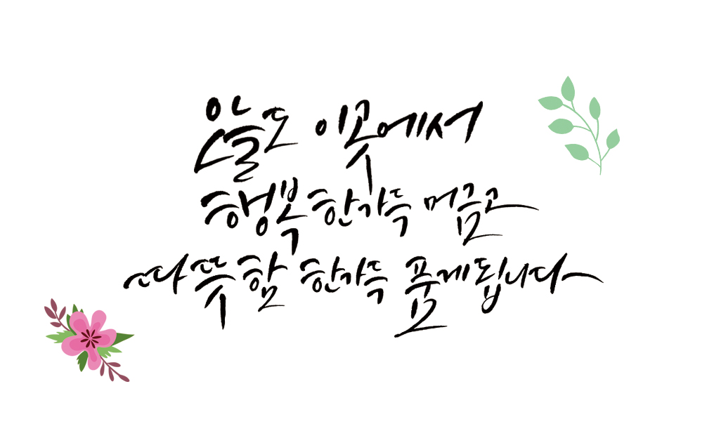 까미노