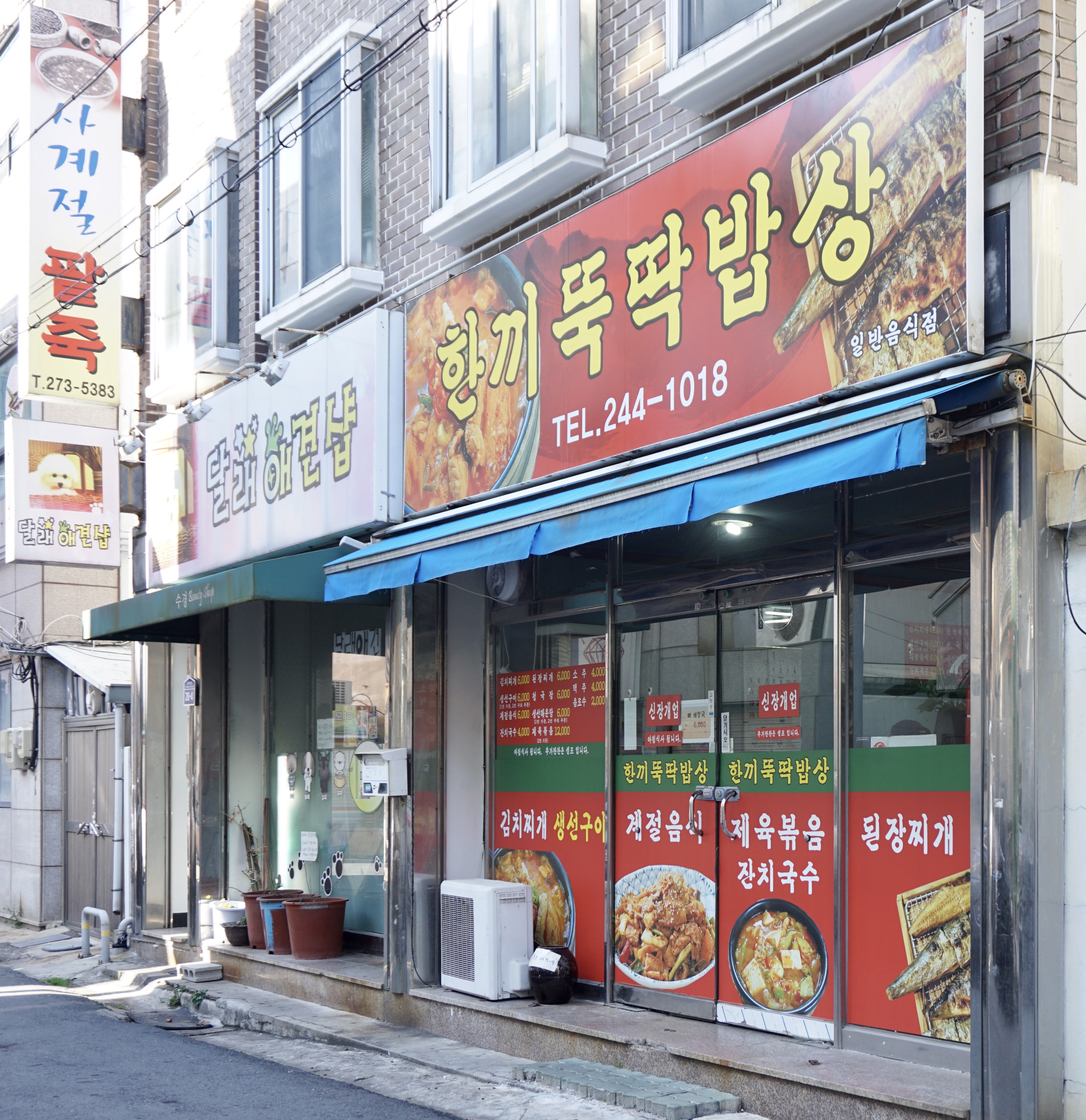 달래애견샵 대표 이미지