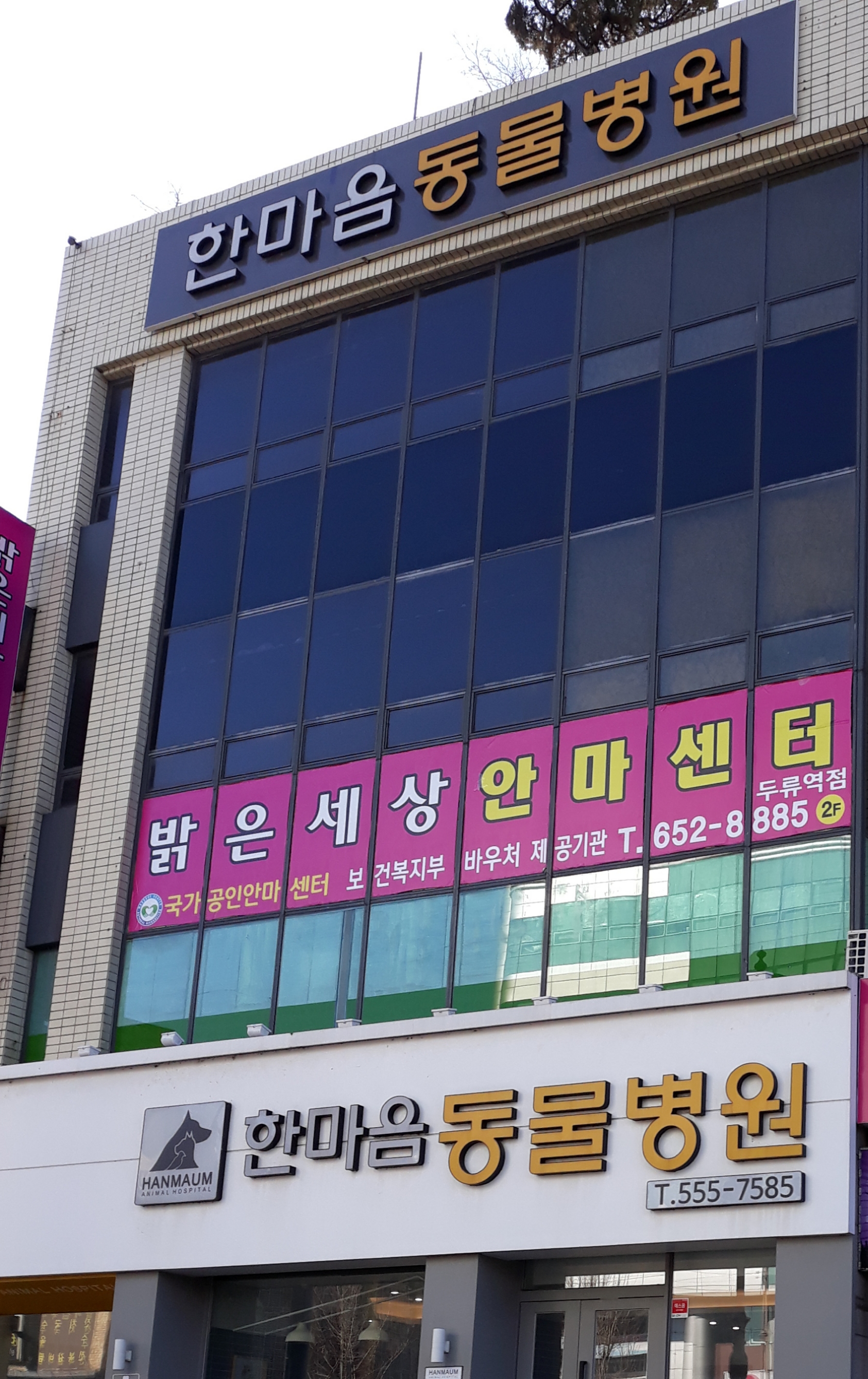 한마음종합동물병원 대표 이미지