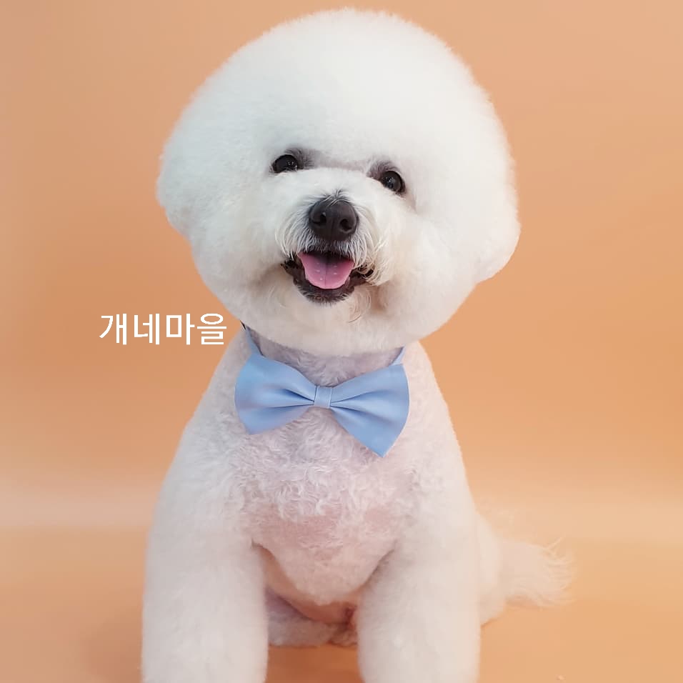 개네마을 대표 이미지