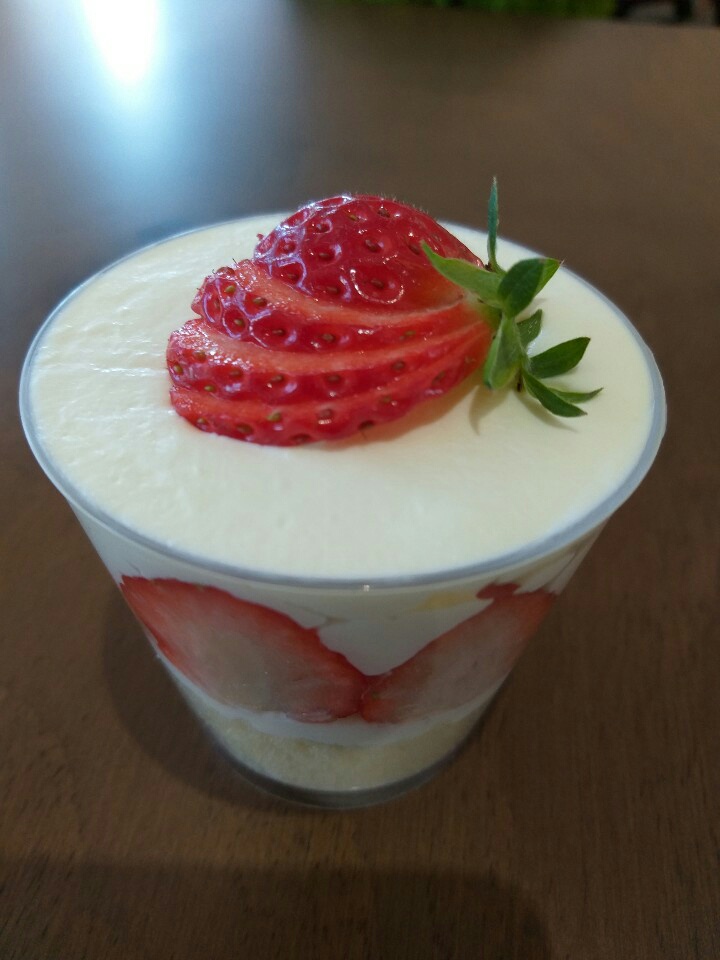 목련뜰안