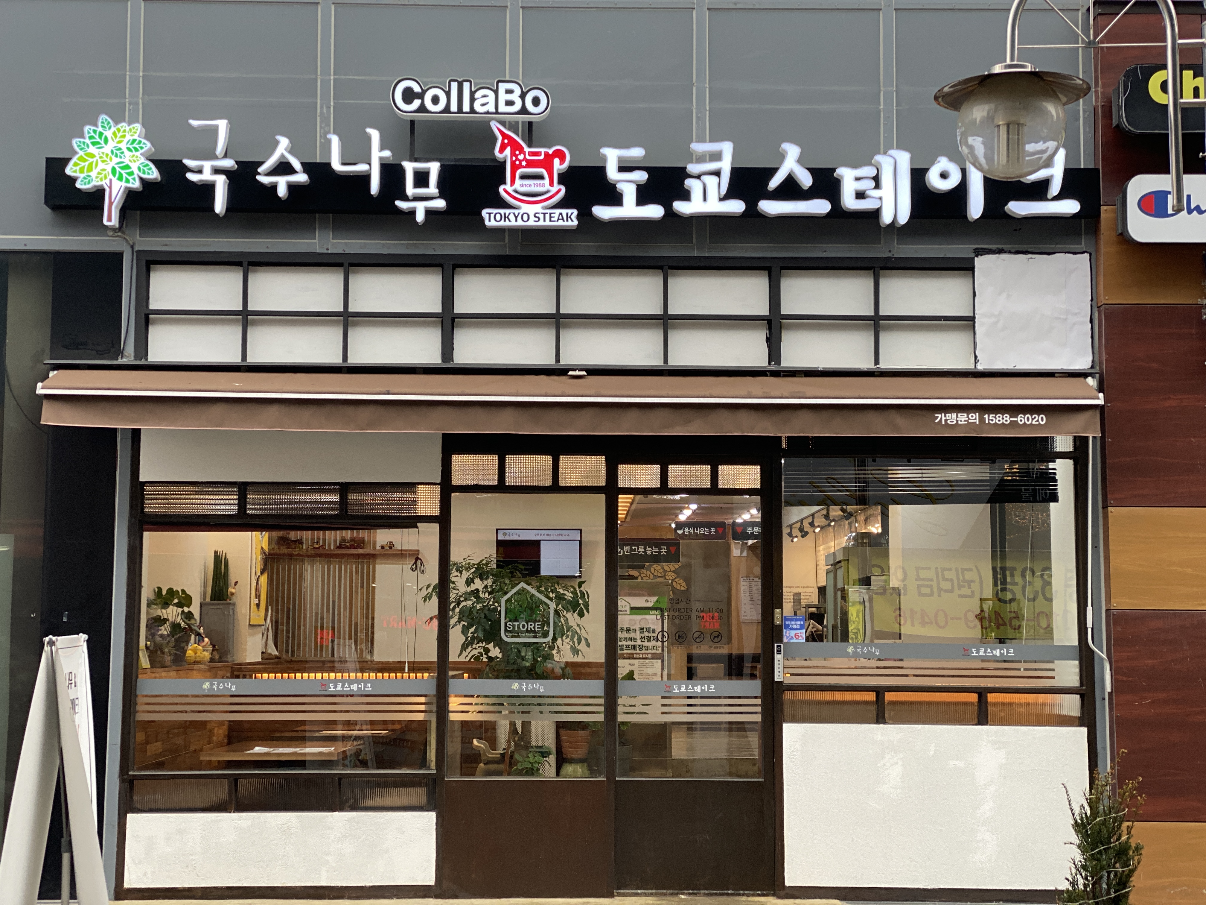 국수나무&도쿄스테이크 충주중앙점
