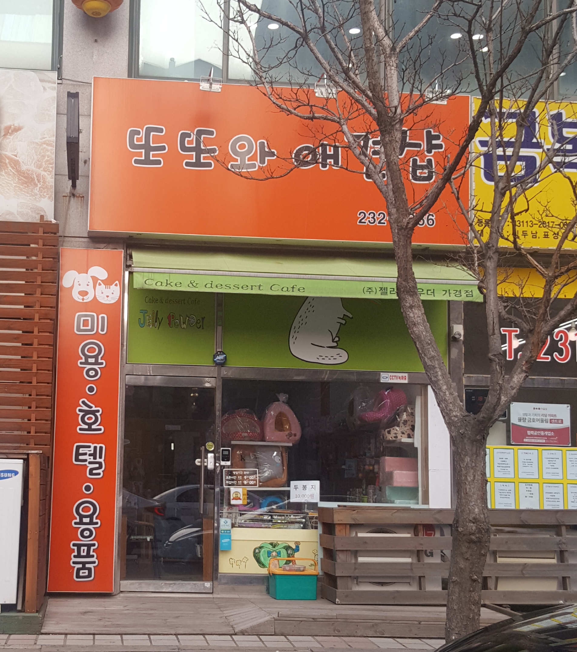 또또와애견샵