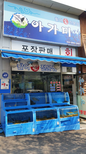 아가미 횟집