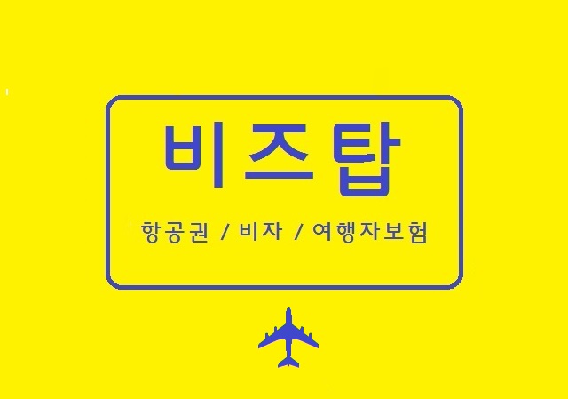 비즈탑항공
