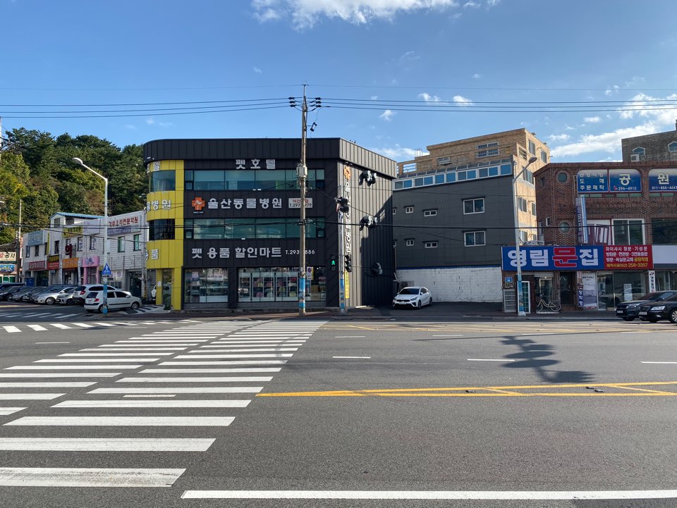 울산동물병원 대표 이미지