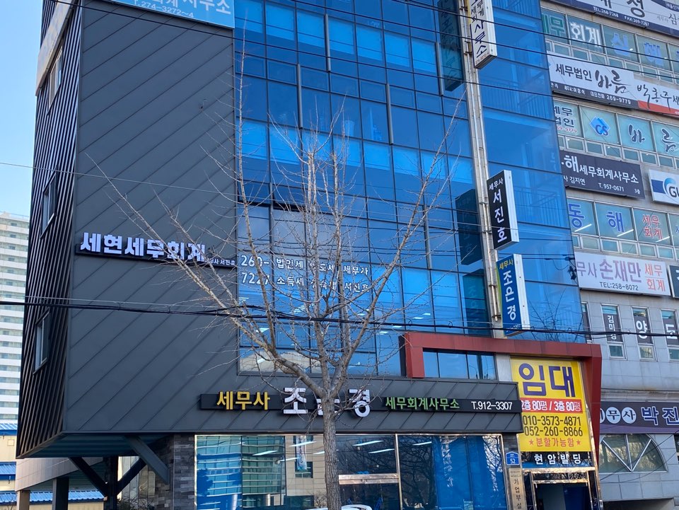 세현세무회계 서진호세무사 대표 이미지
