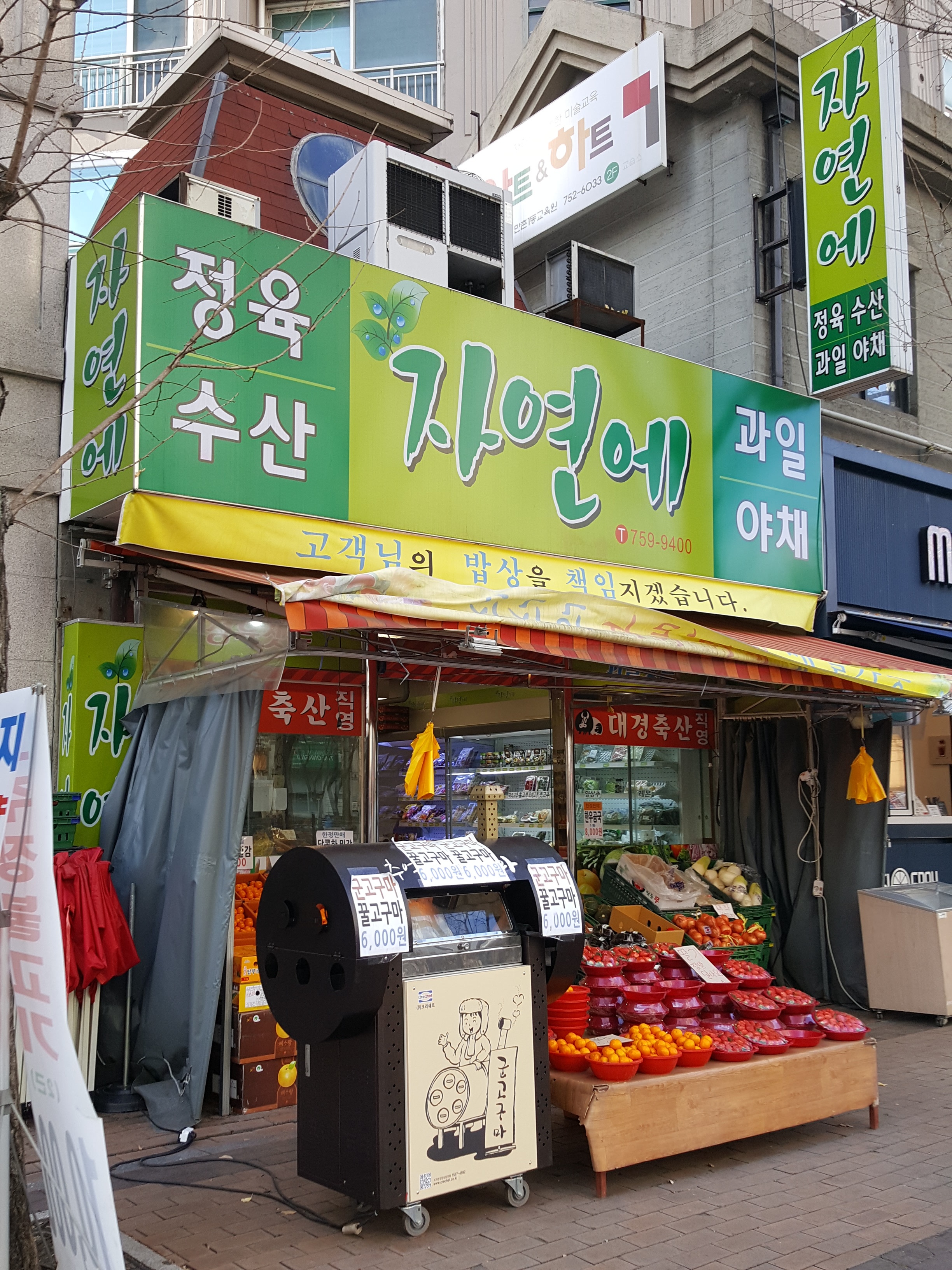 자연에