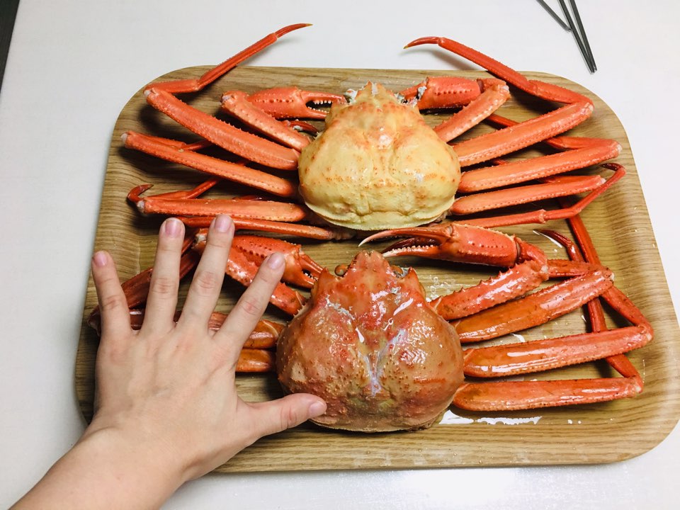 삼척대왕대게