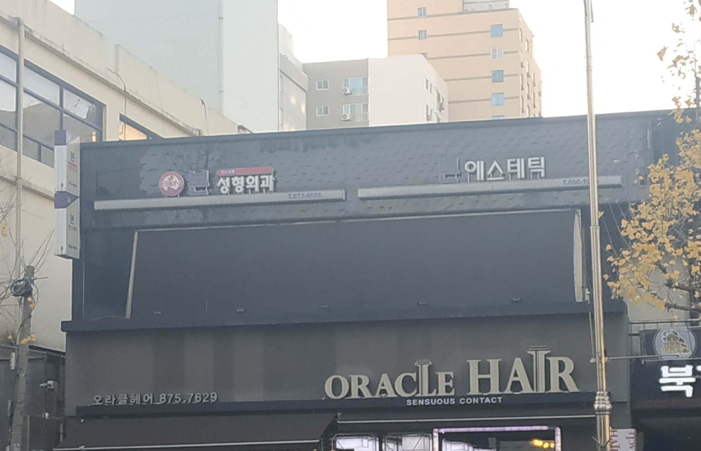 본의원