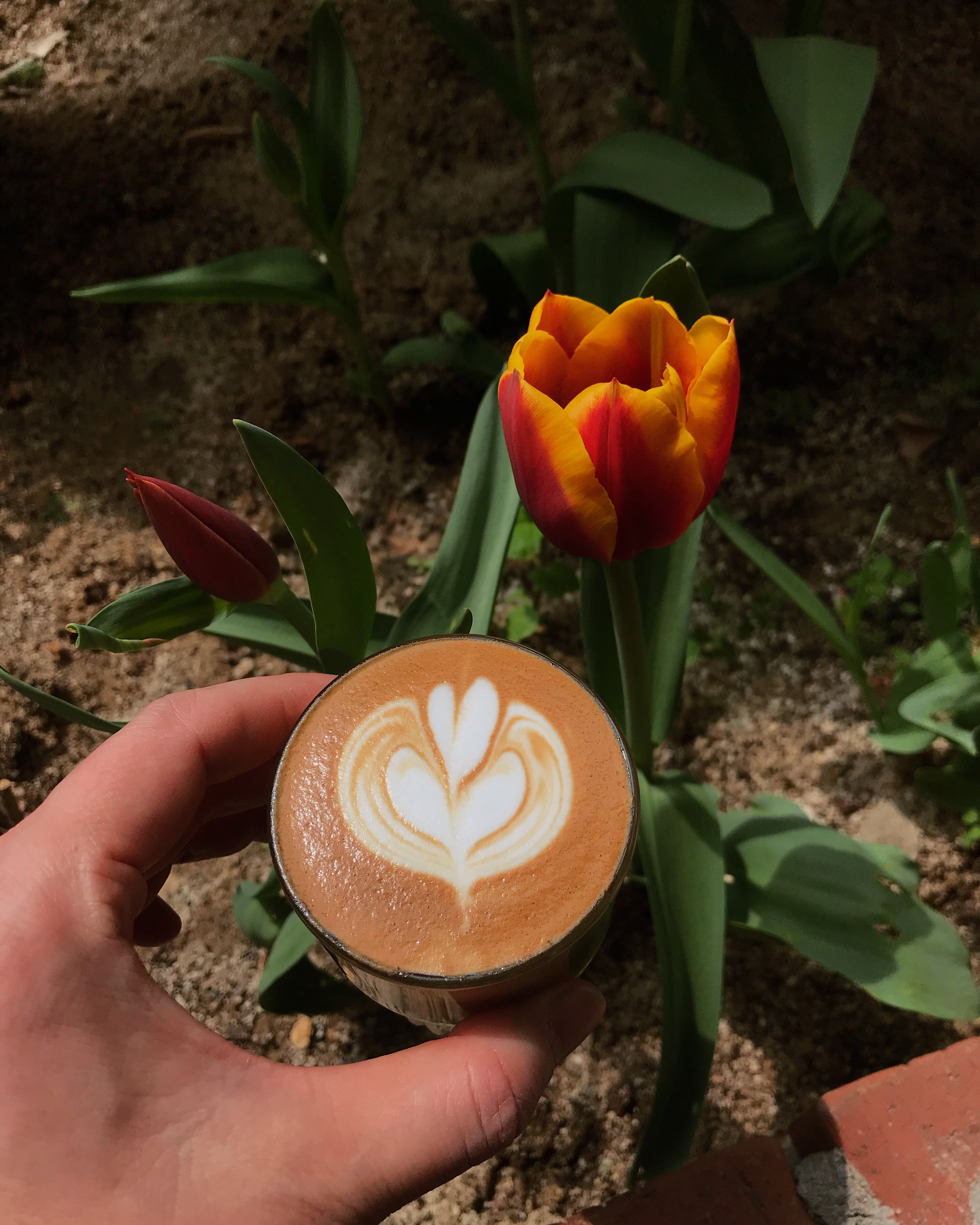 Cafe du Centre 대표 이미지