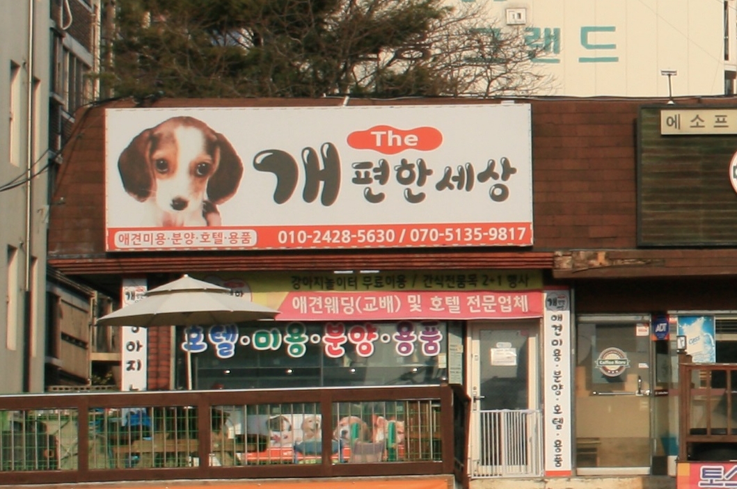 The개편한세상 대전 동구 애견숙소