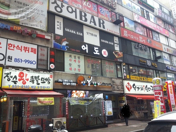 어도정수사일식