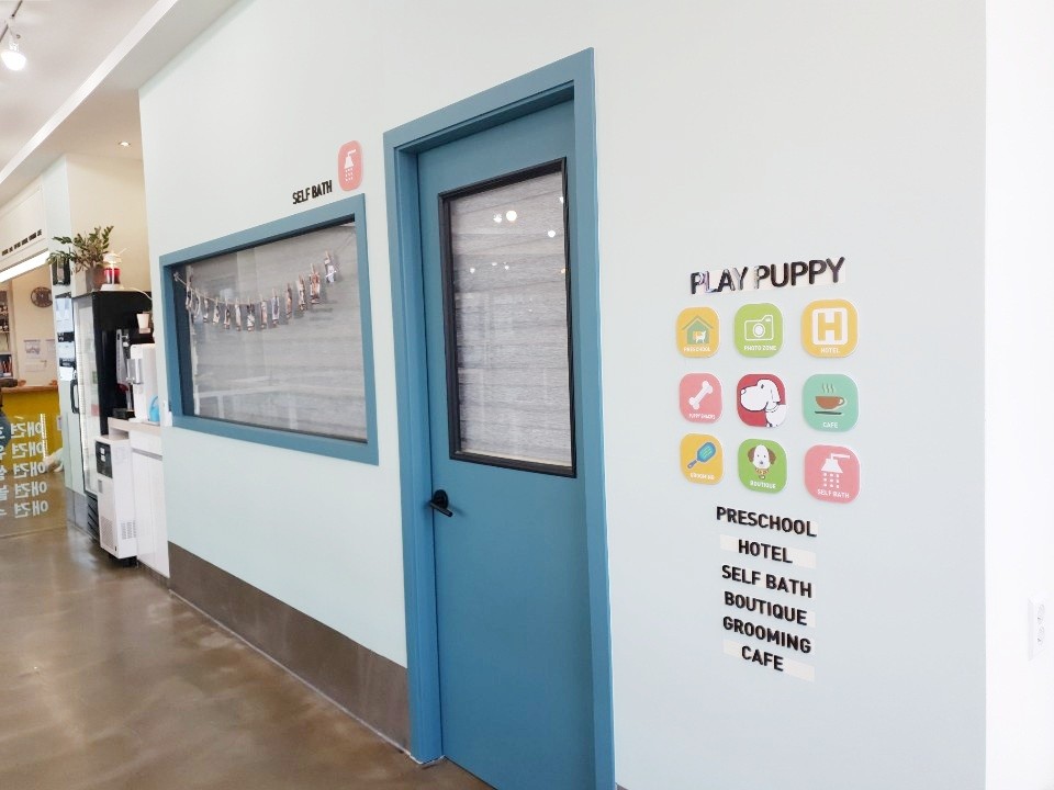 펫돌봄 3