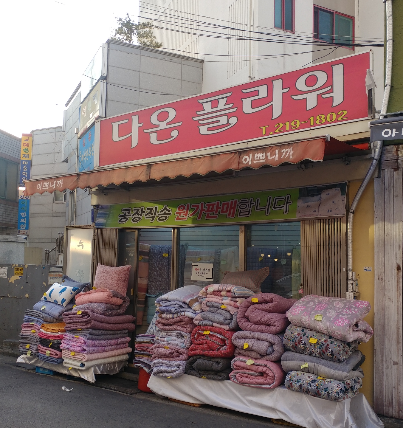 다온플라워