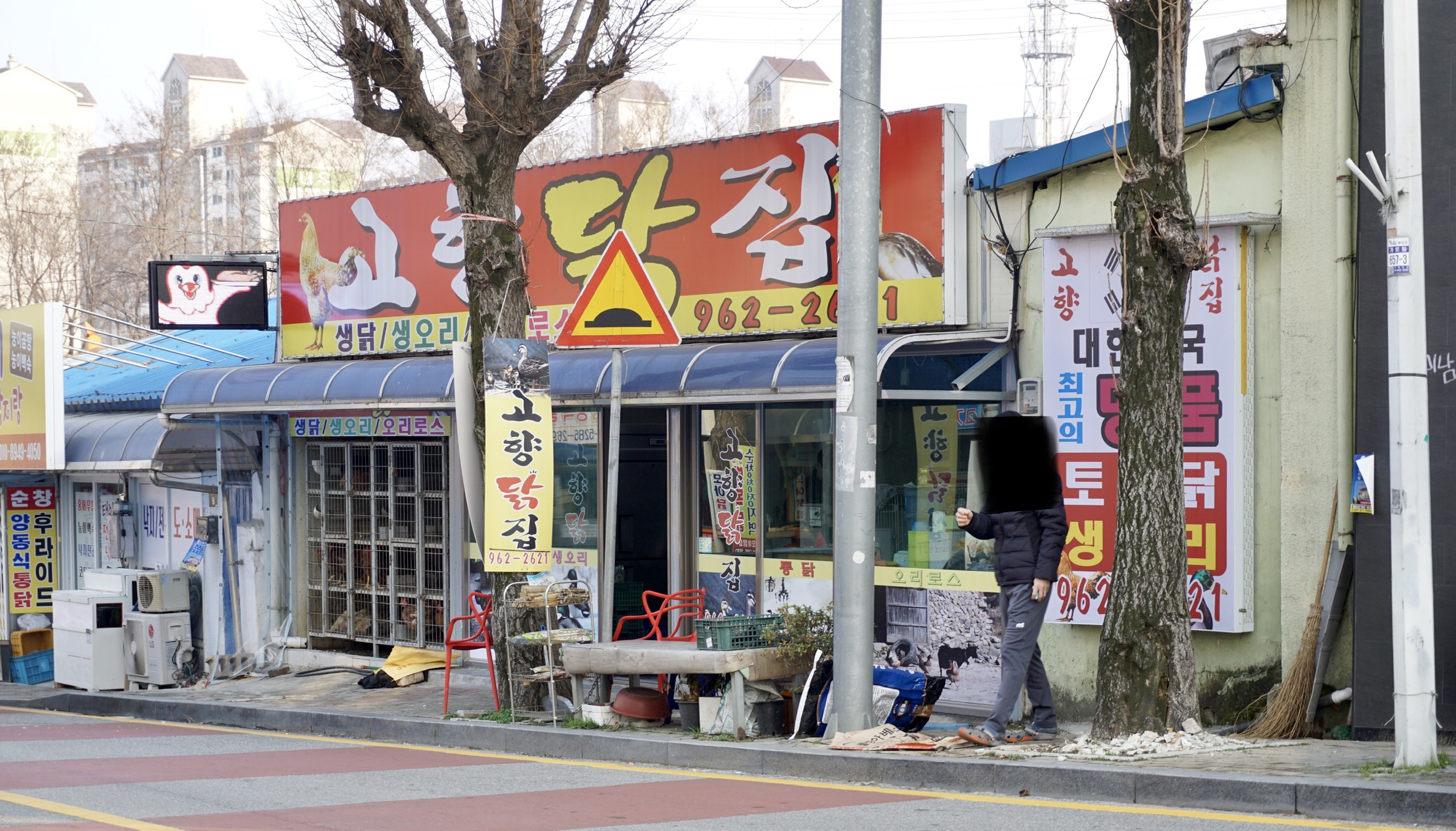고향닭집