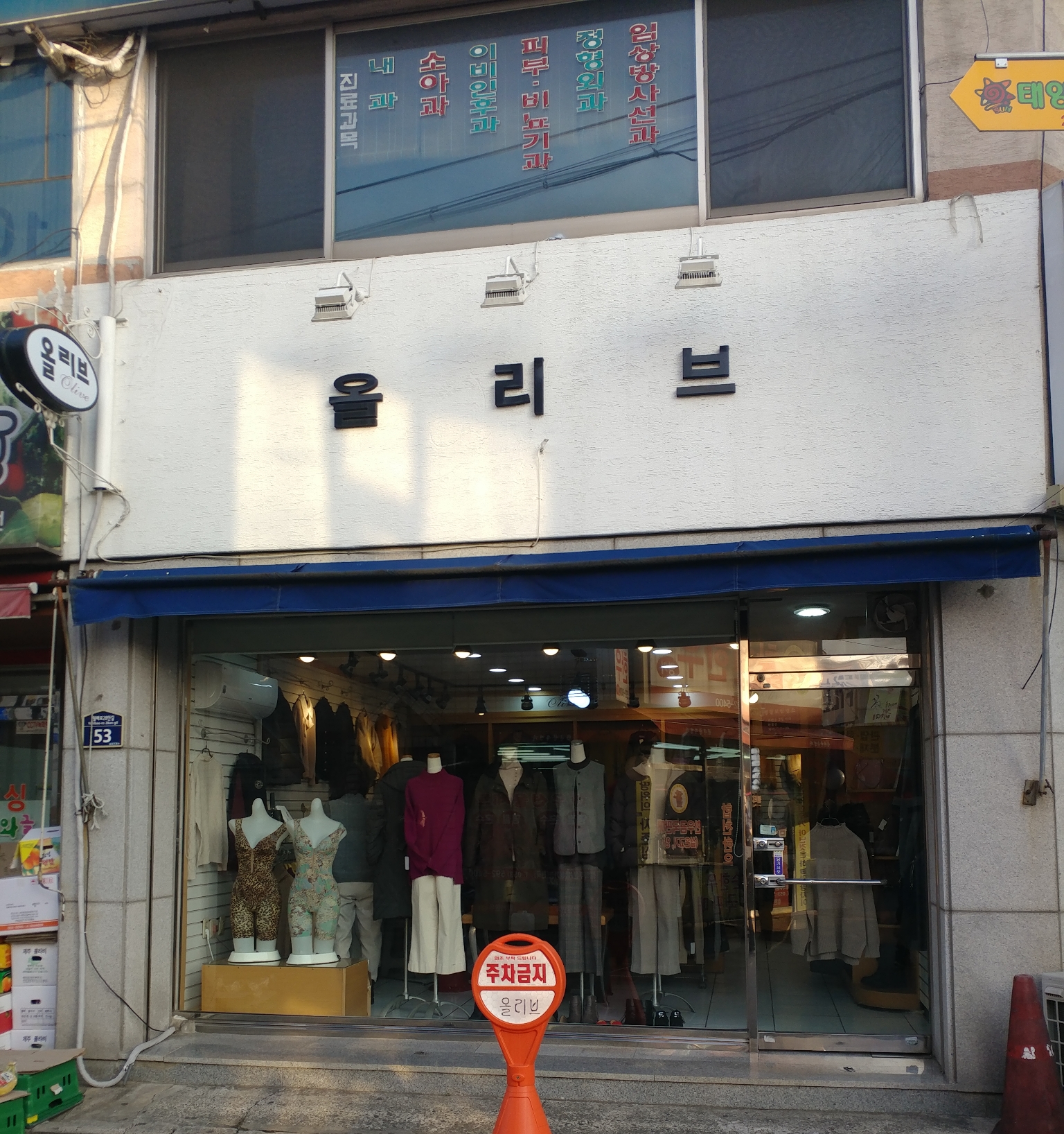 올리브