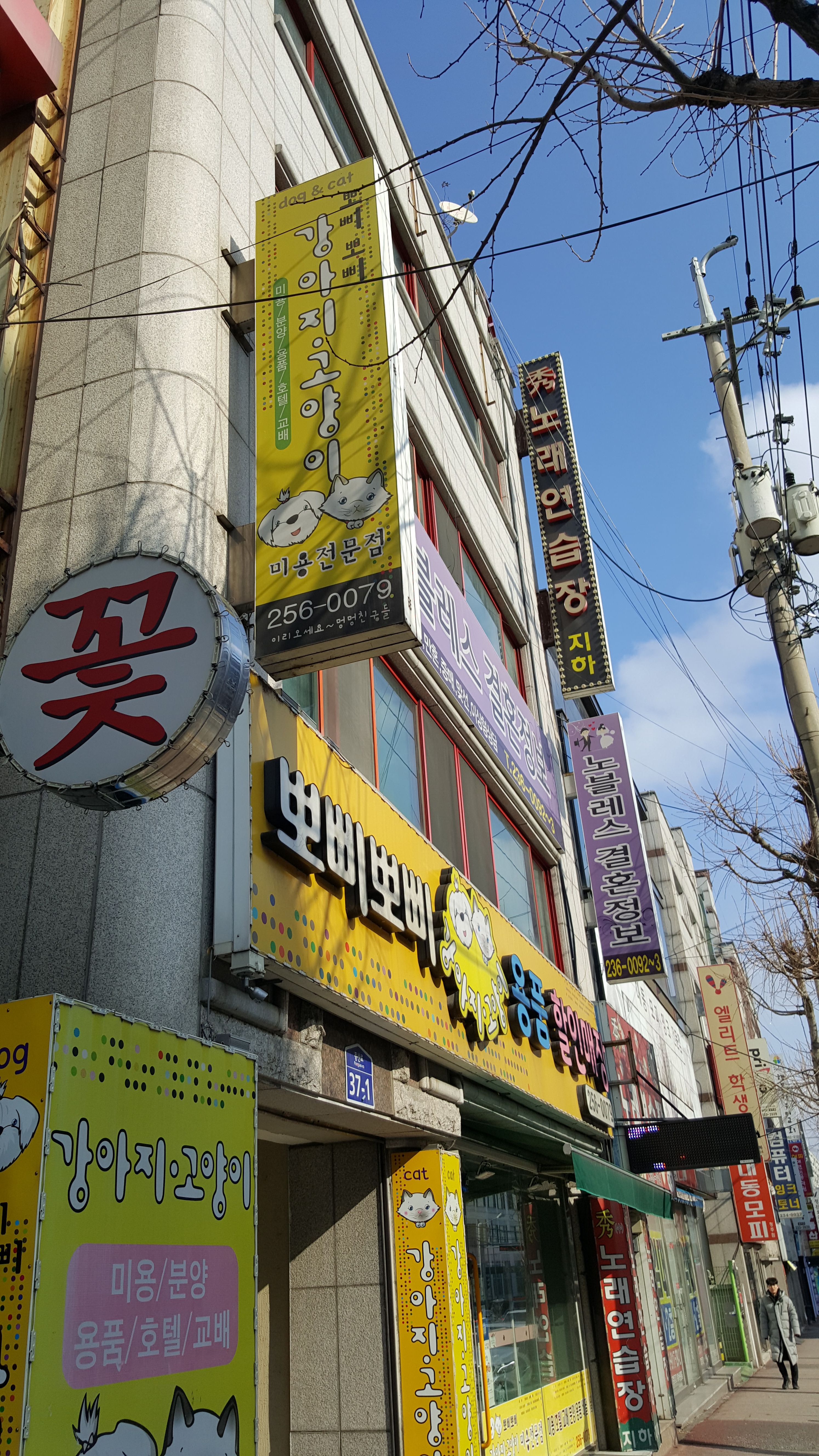 뽀삐뽀삐 대표 이미지