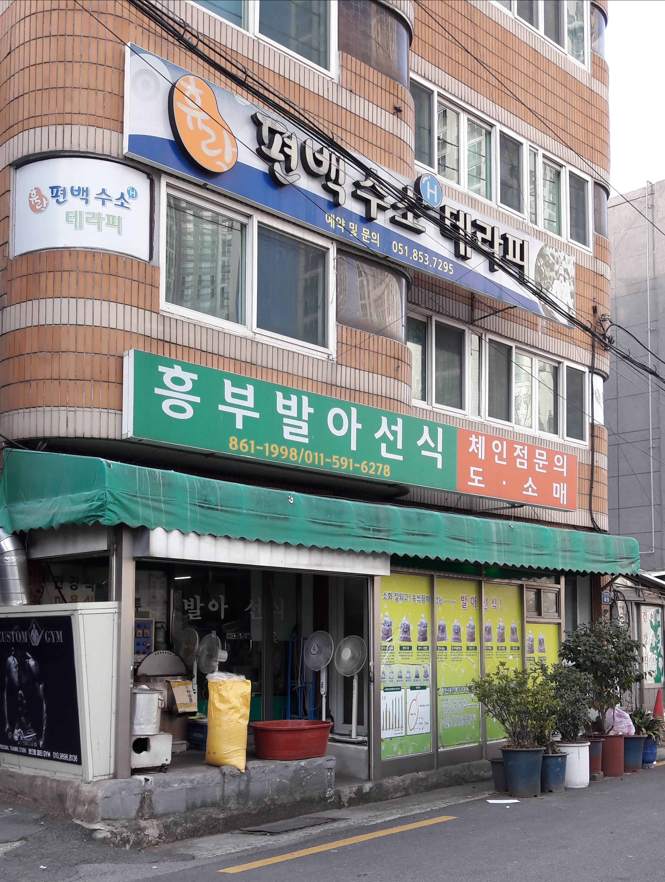흥부발아선식