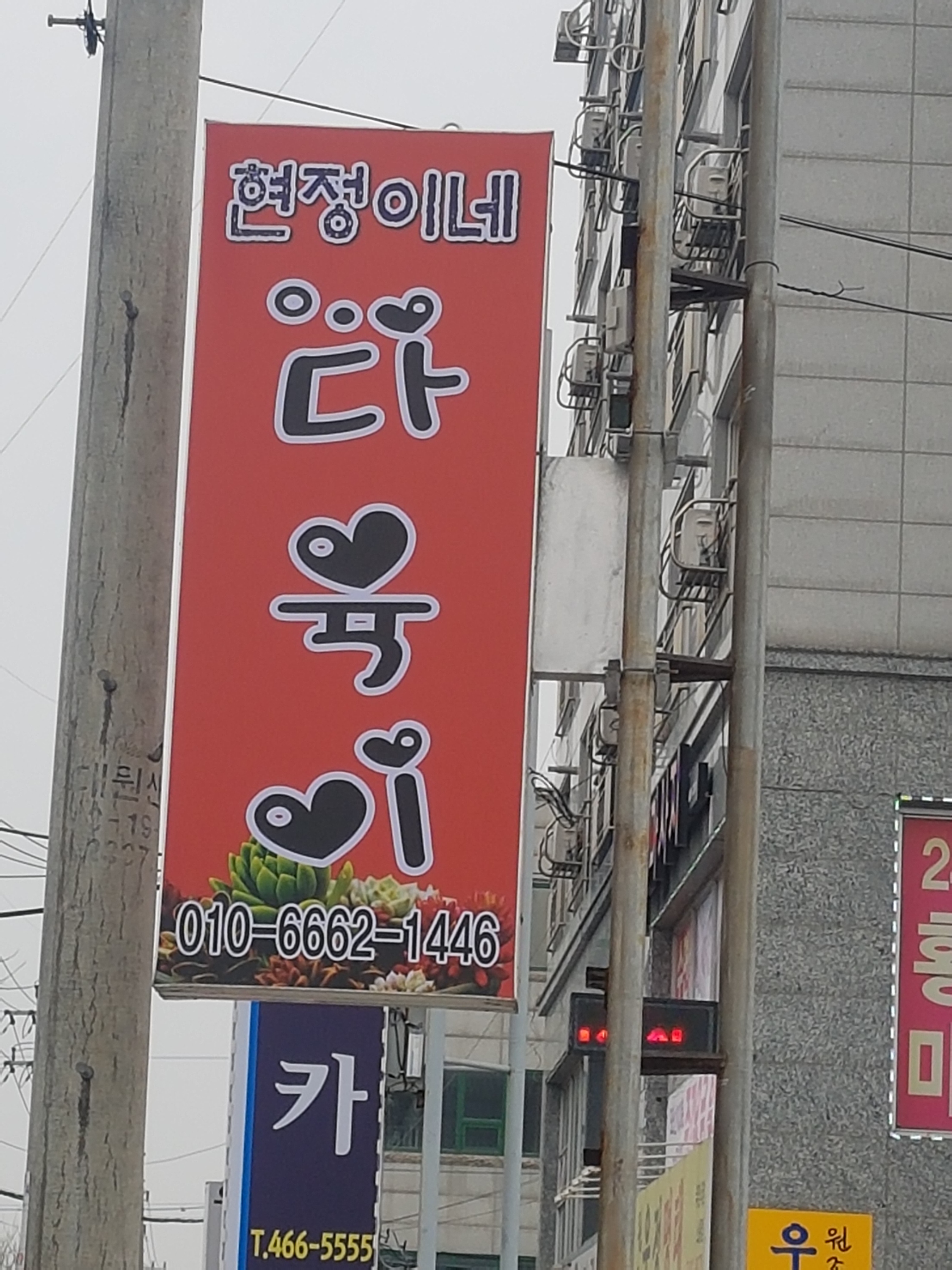 현정이네다육이