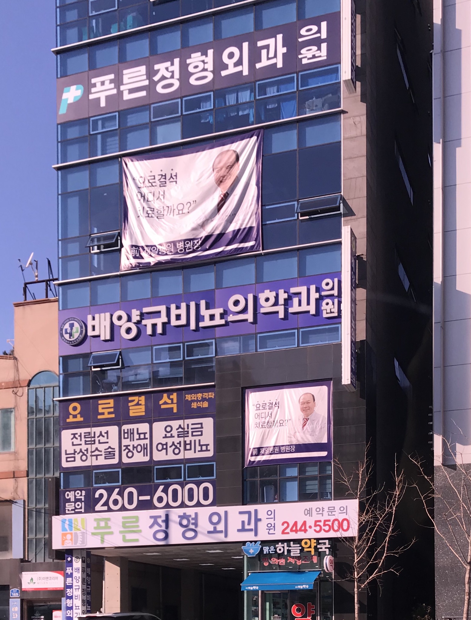 푸른정형외과의원