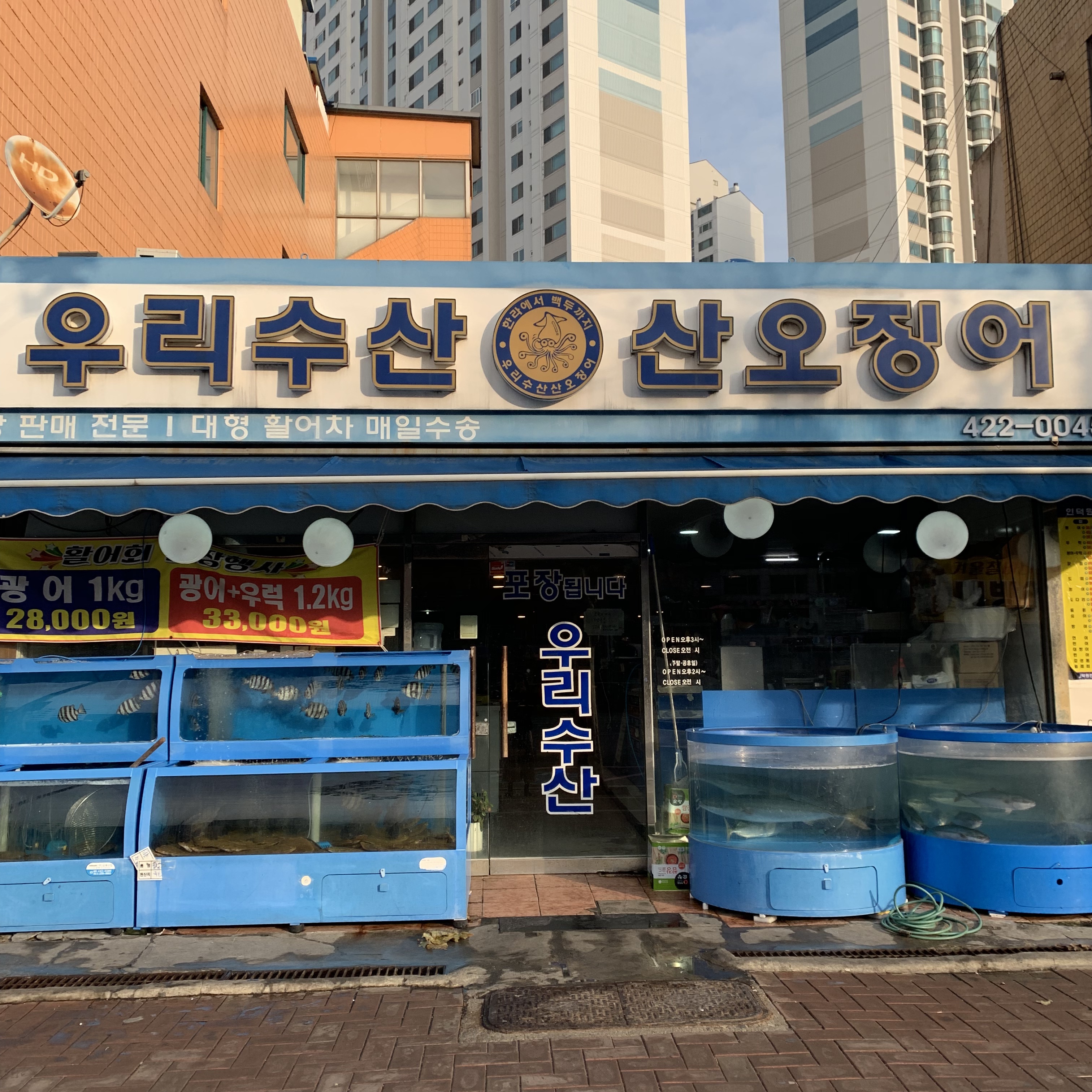 우리수산산오징어