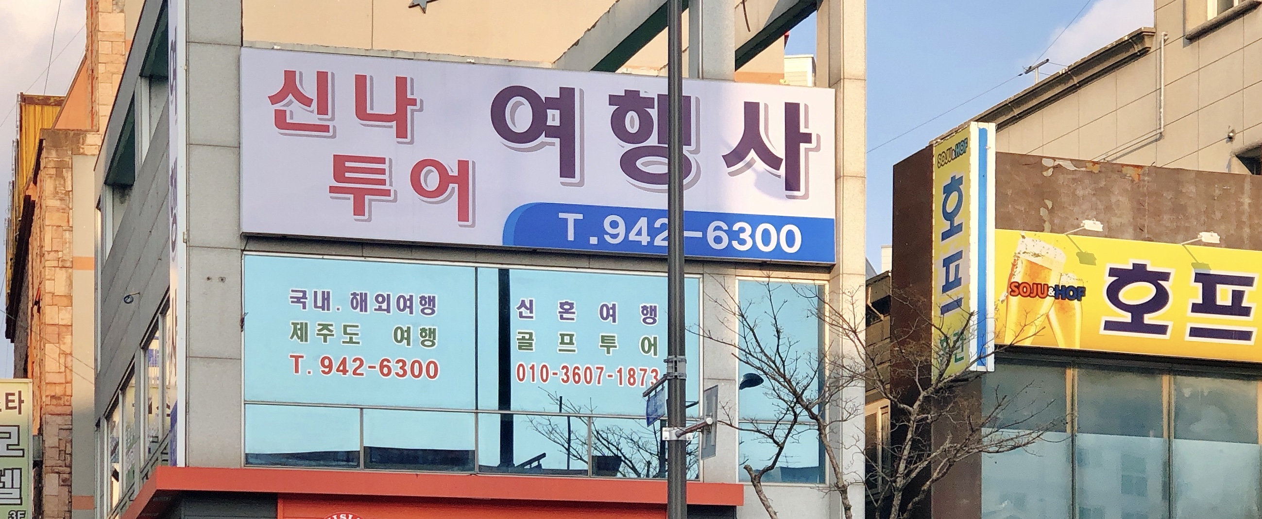 신나투어여행사
