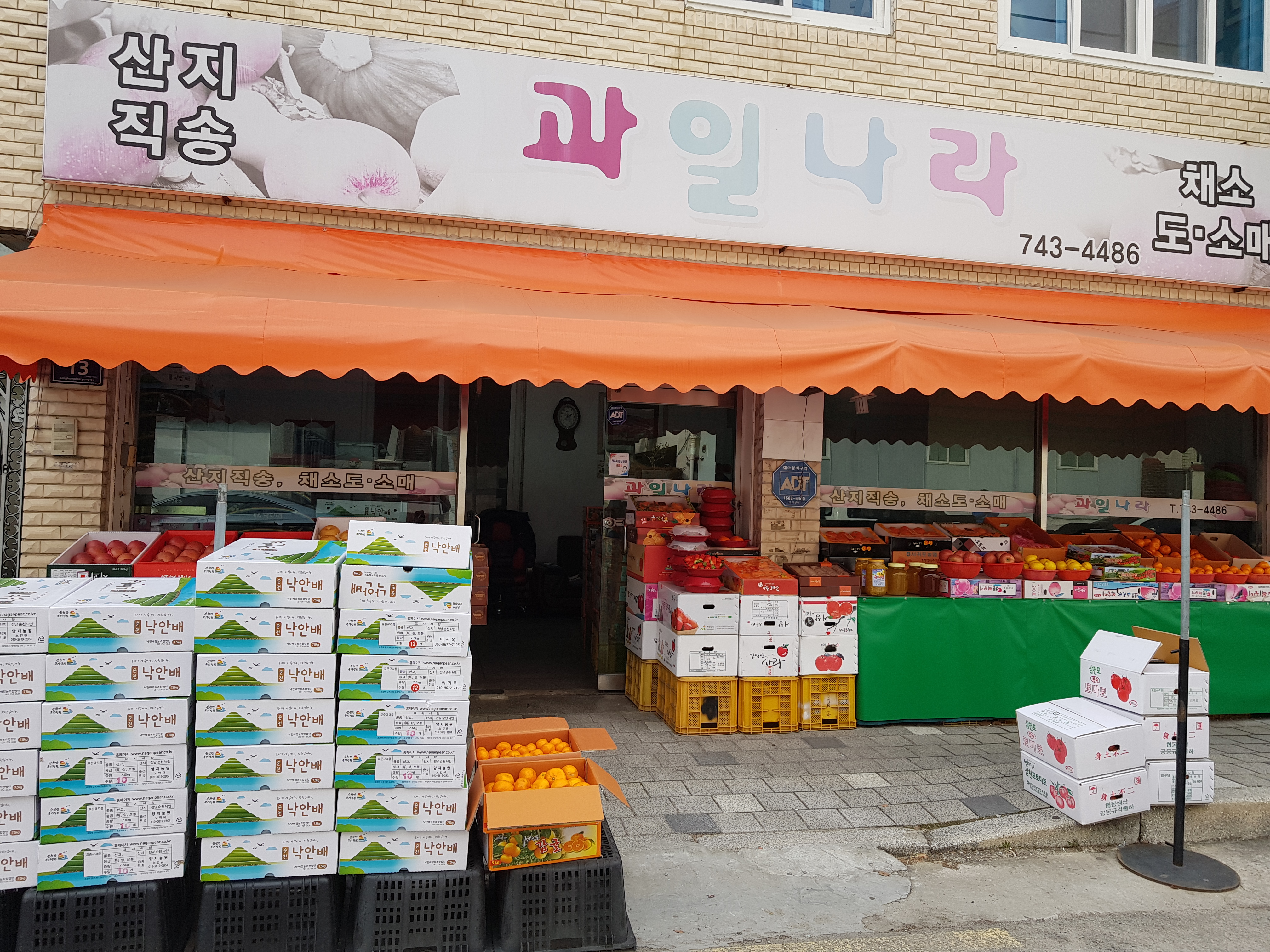 과일나라