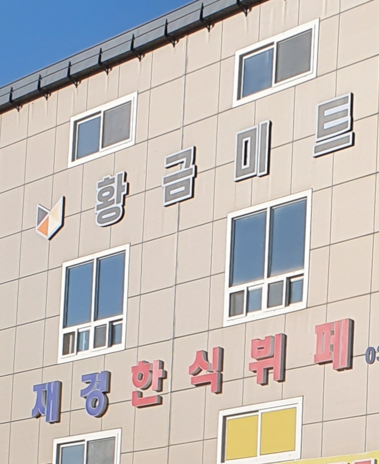 황금미트