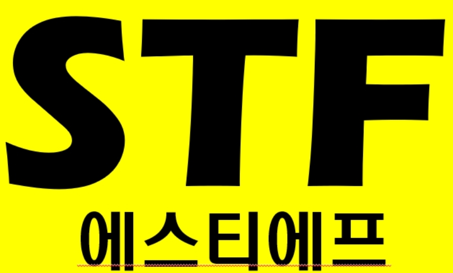에스티에프