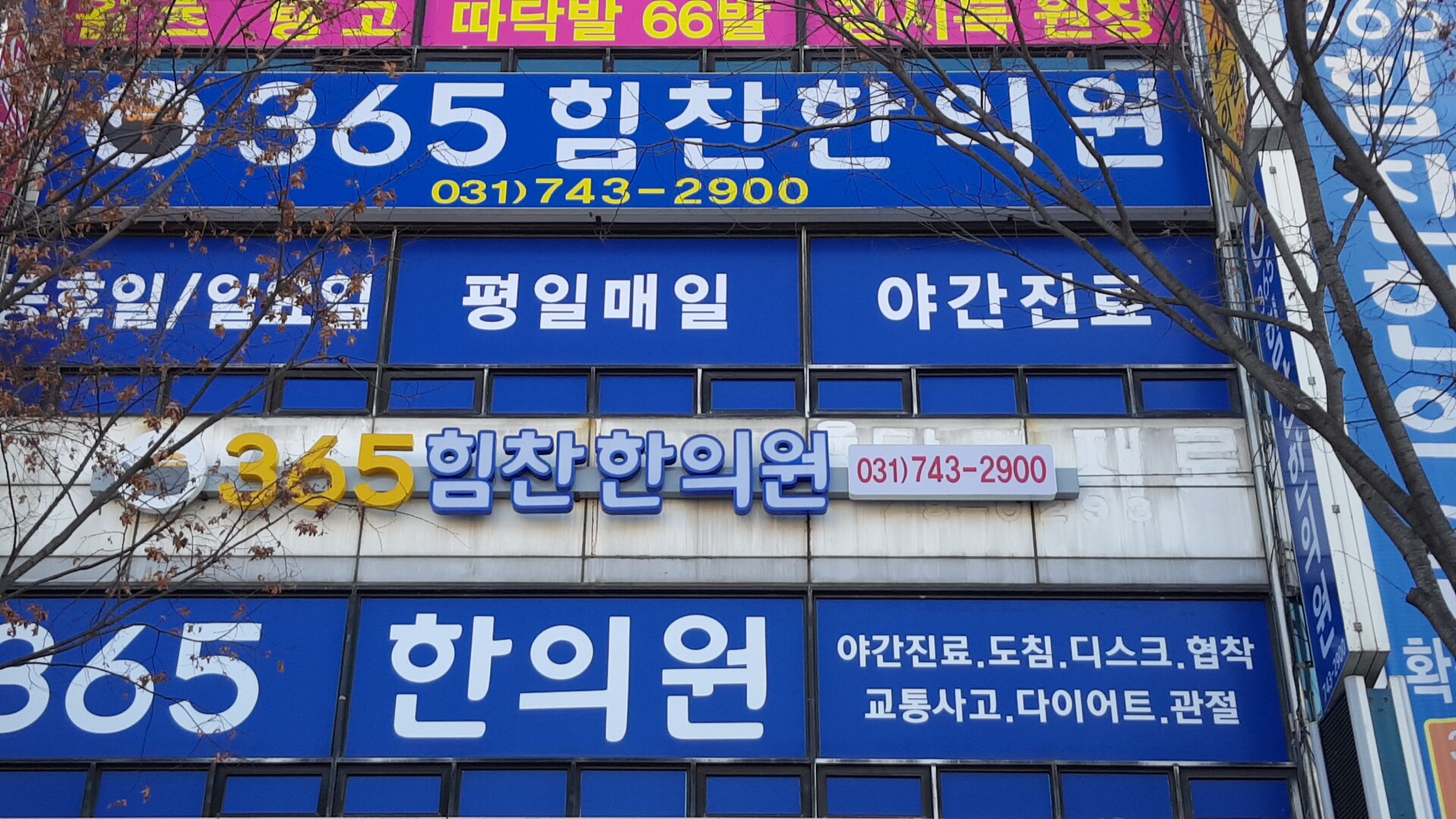 365힘찬한의원