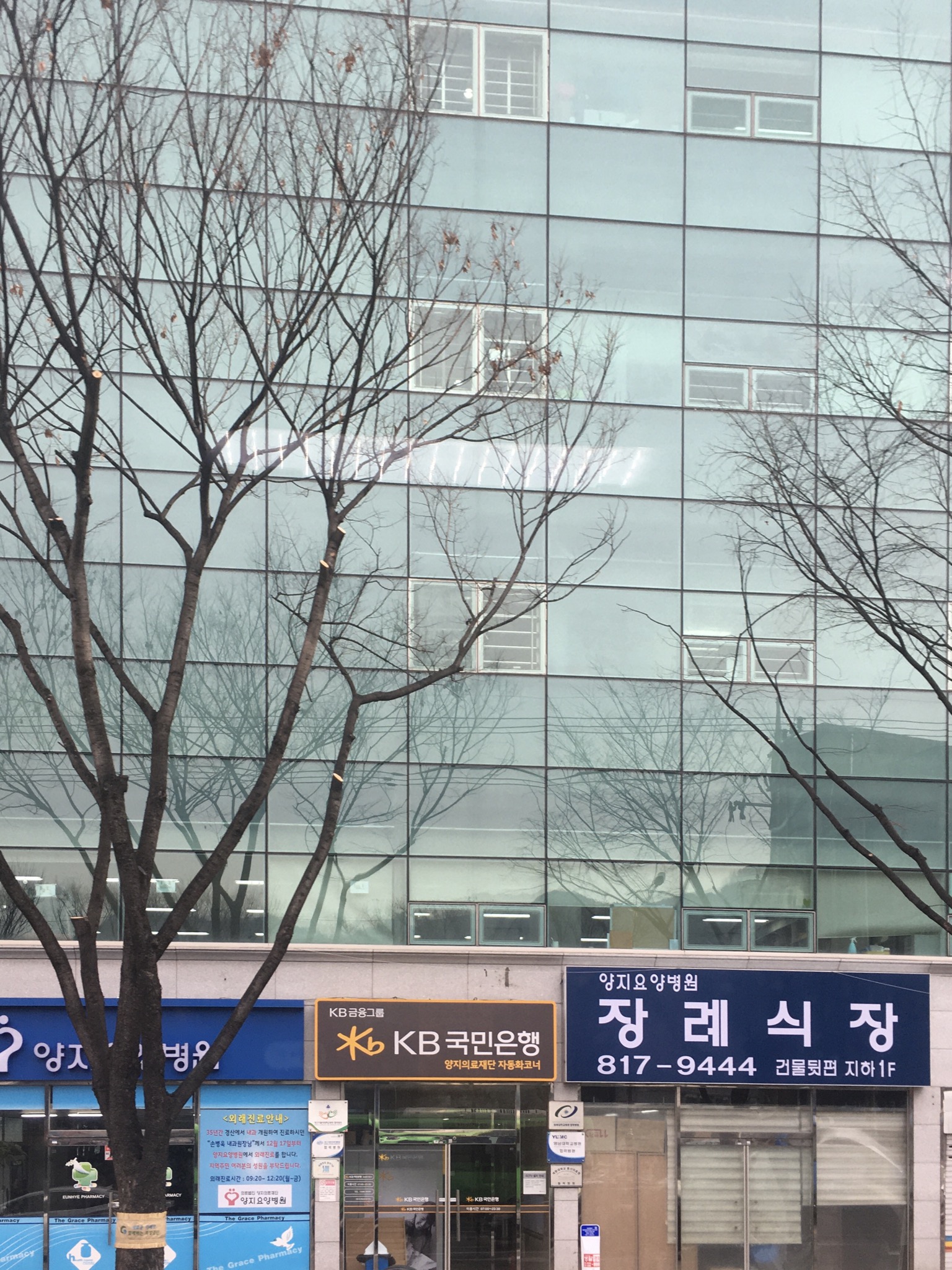 양지요양병원장례식장
