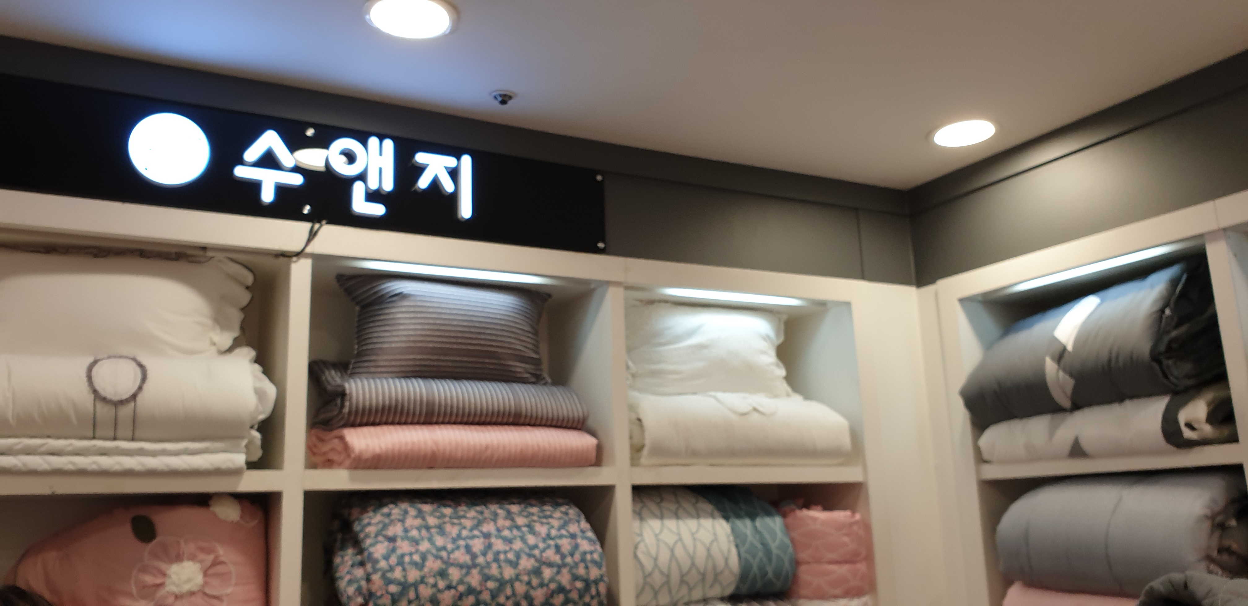 수앤지 세이브존 노원점