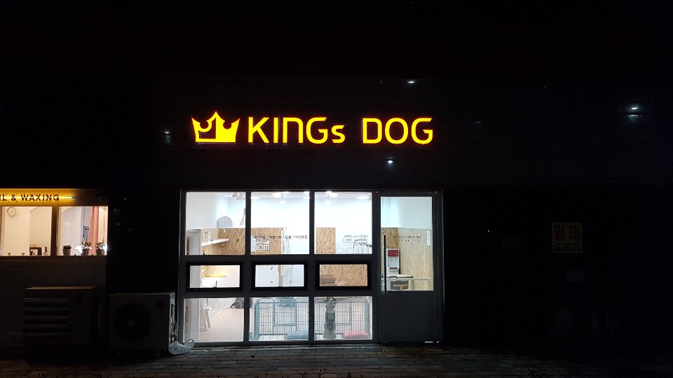 킹스독 대표 이미지