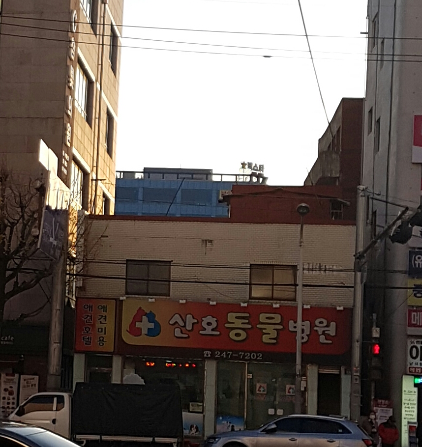 산호동물병원 대표 이미지