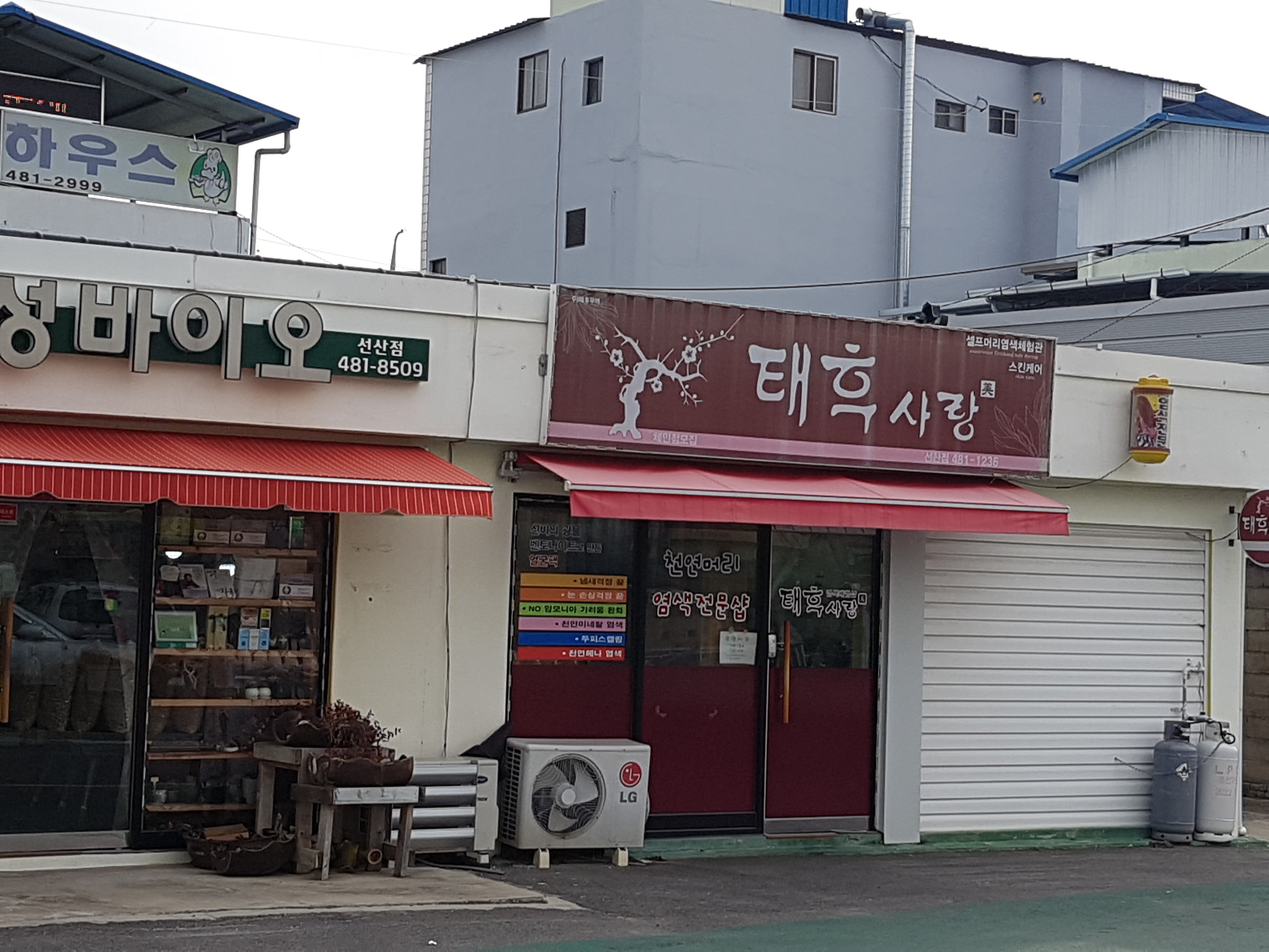 태후사랑 선산점