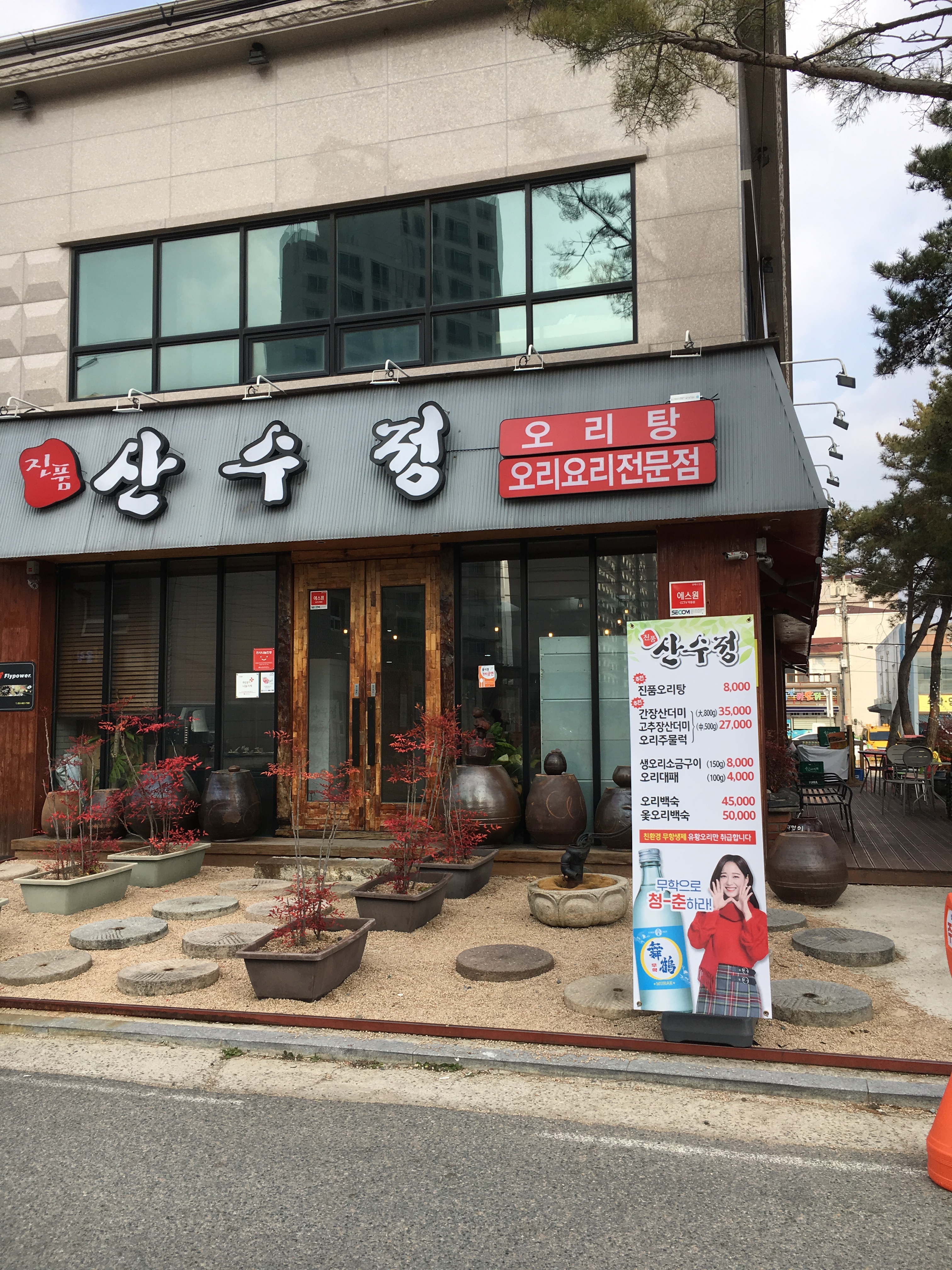 산수정